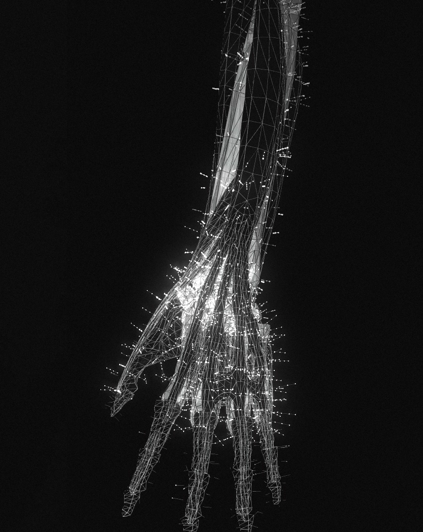 arm.png