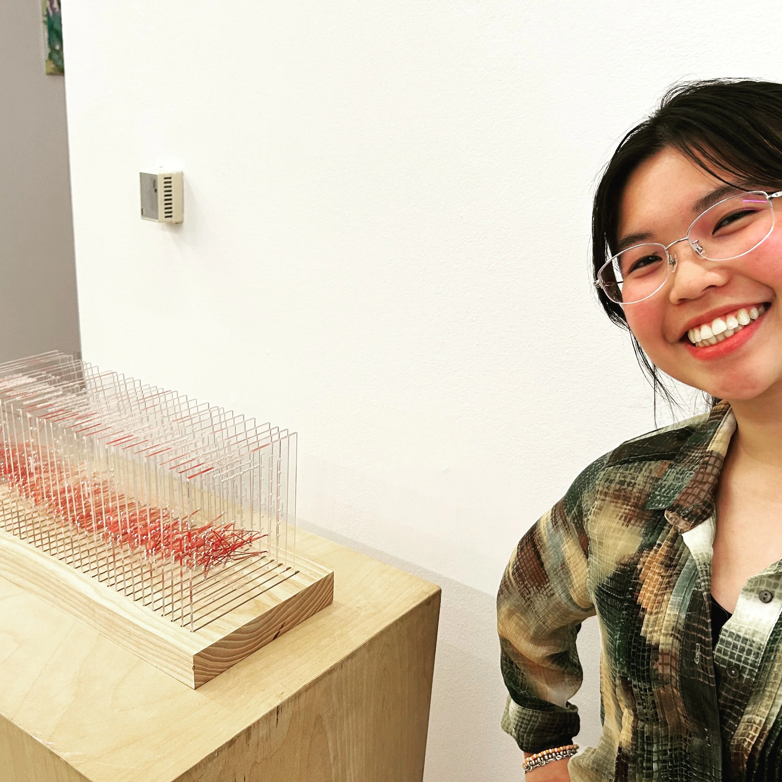Projects in the DIG are often technical or artistic. Occasionally, they're both! Lin Vu's senior art project is a perfect blend and an exhibition of her interdisciplinary talent.