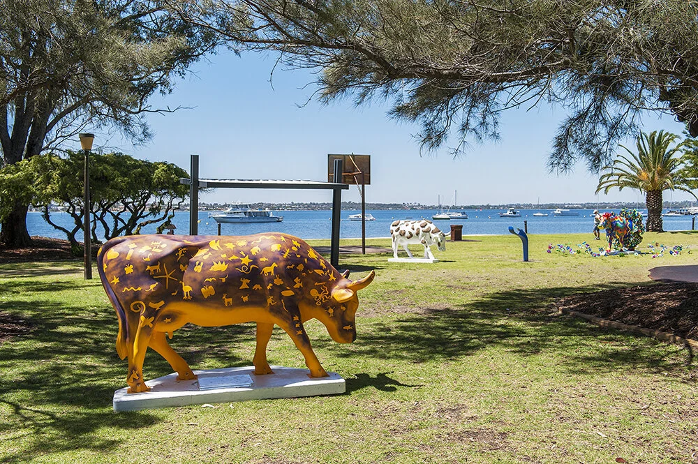 cow1.jpg