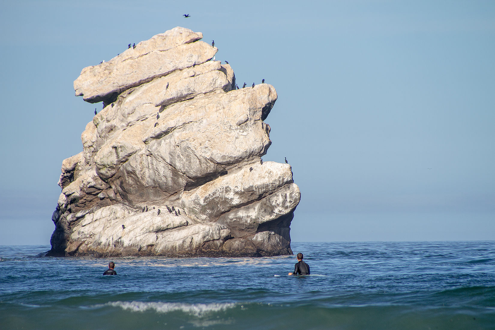 Bird glacier on the central coast