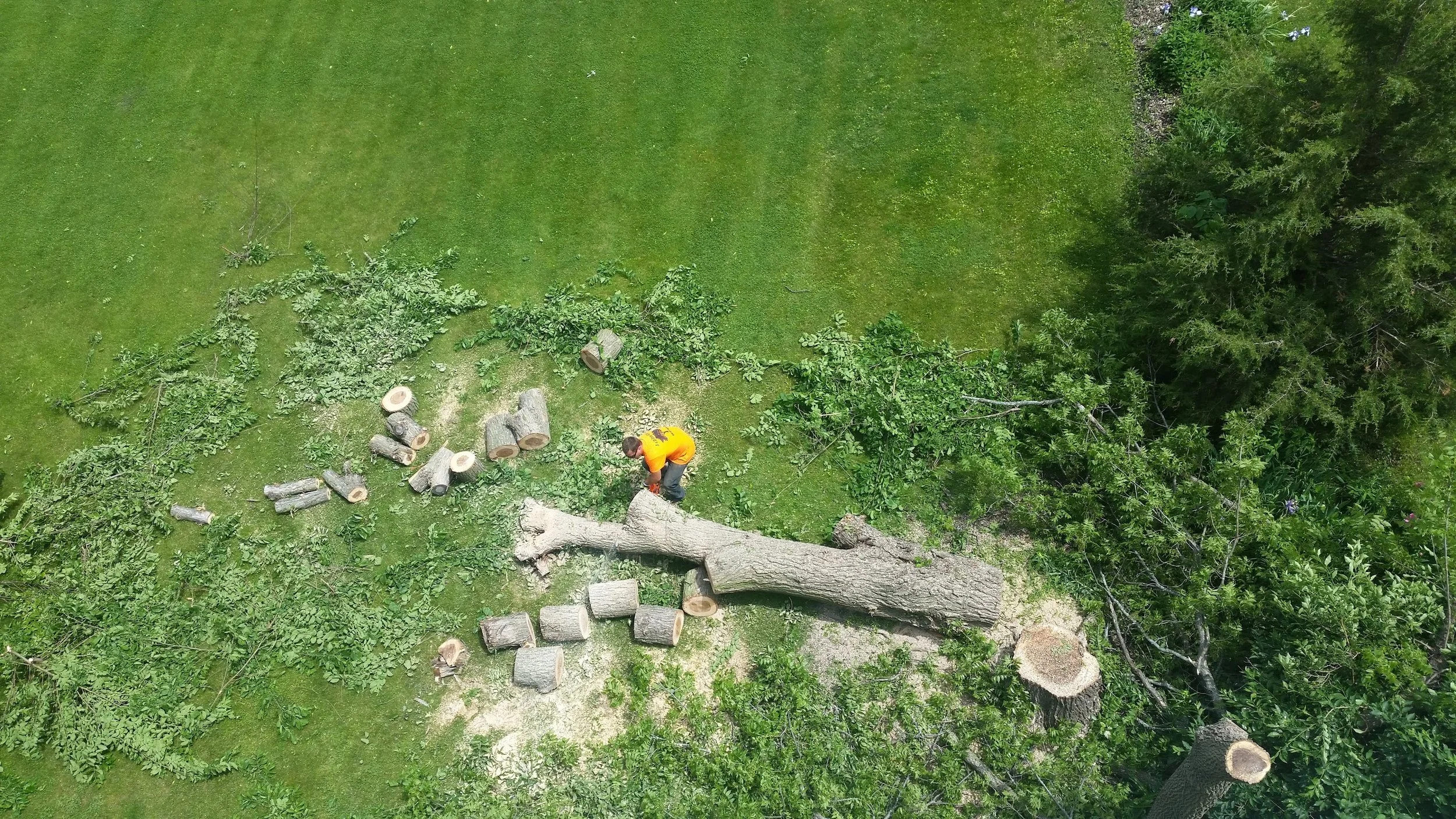 20160526_130347.jpg