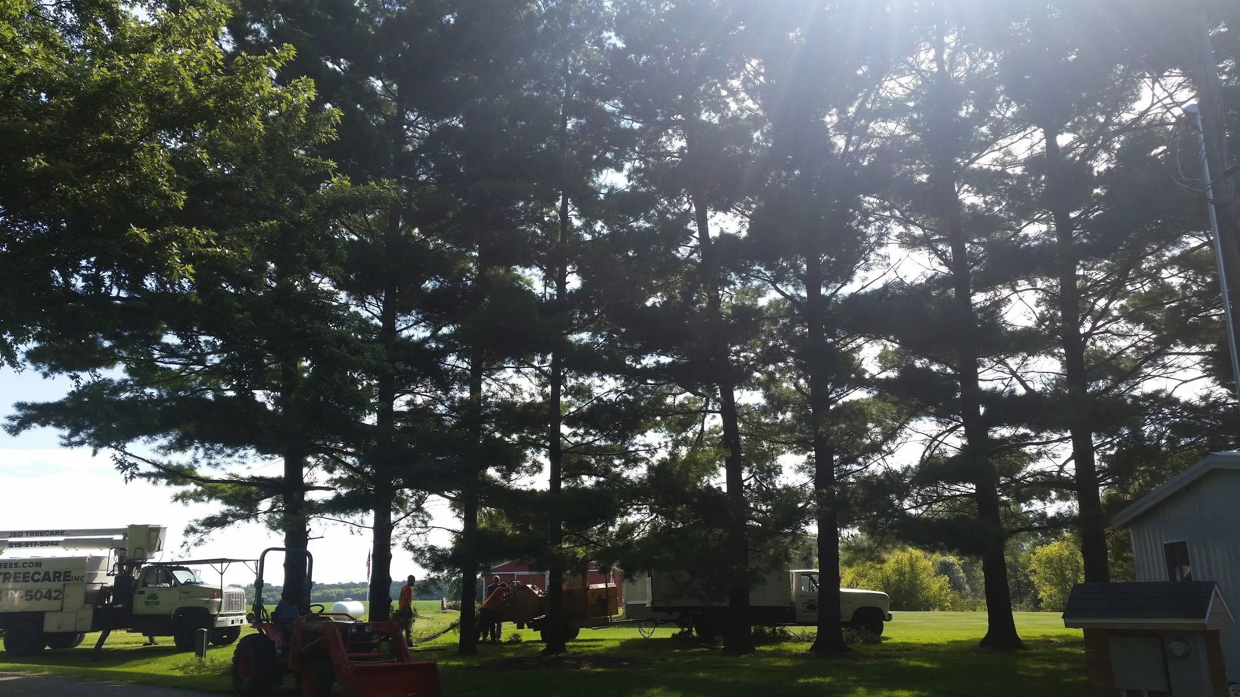 20170731_094716.jpg