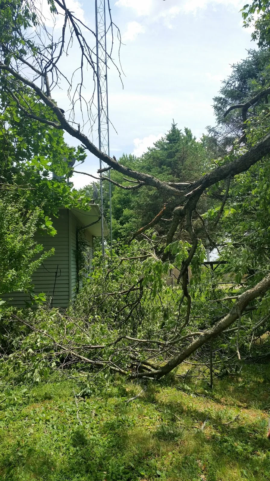 20170615_125242.jpg