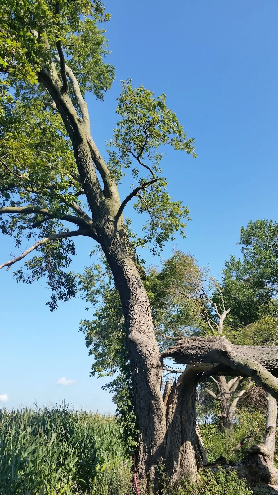 20170830_102043.jpg