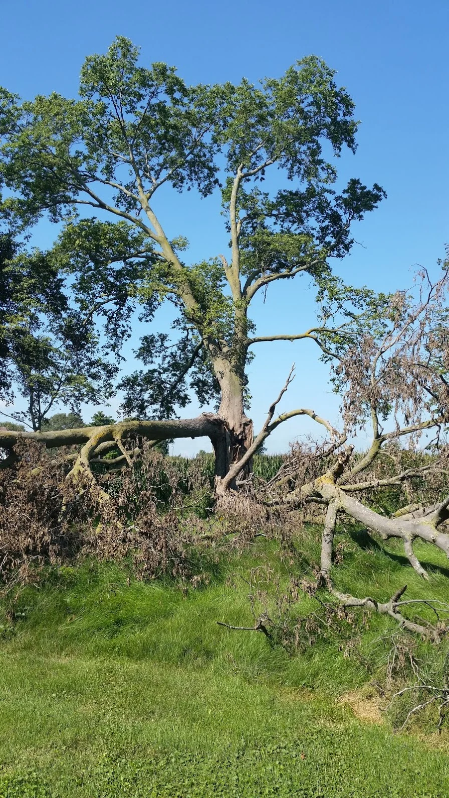 20170830_102125.jpg