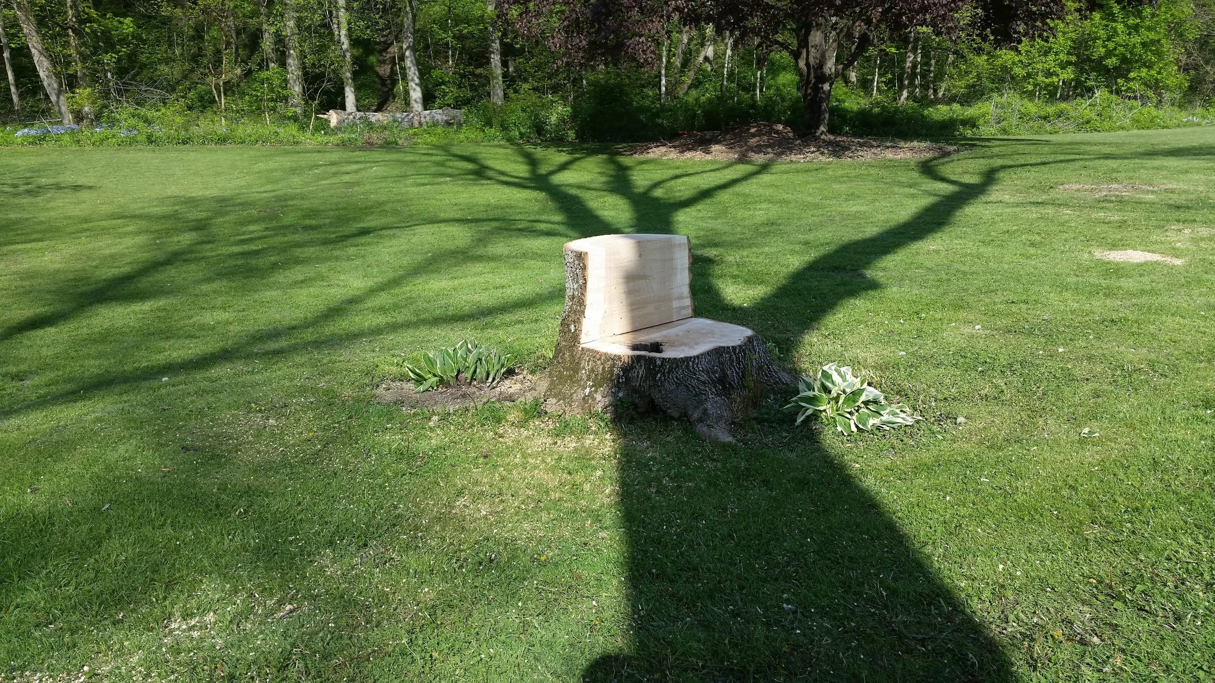20160505_164135.jpg