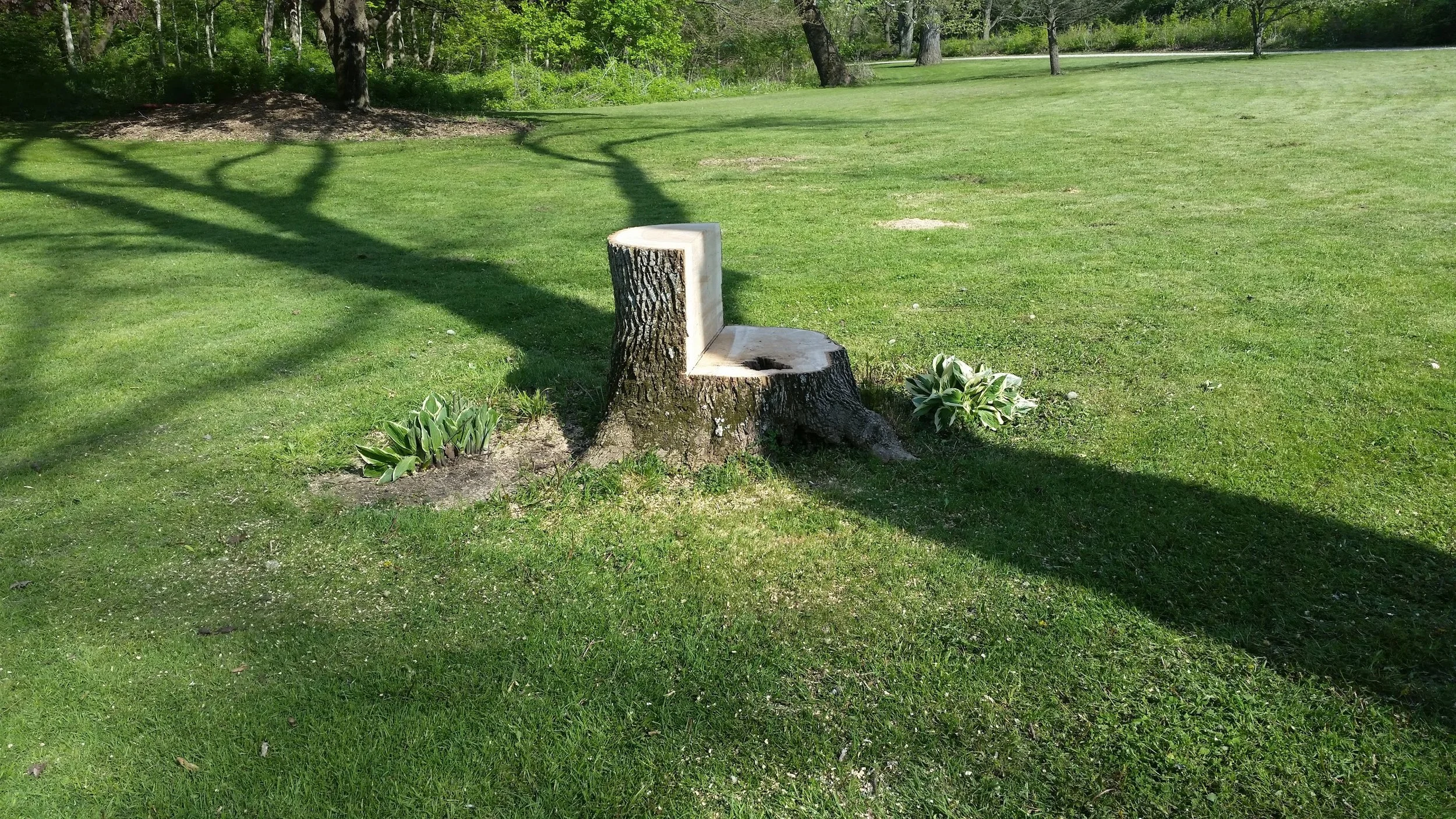 20160505_164147.jpg
