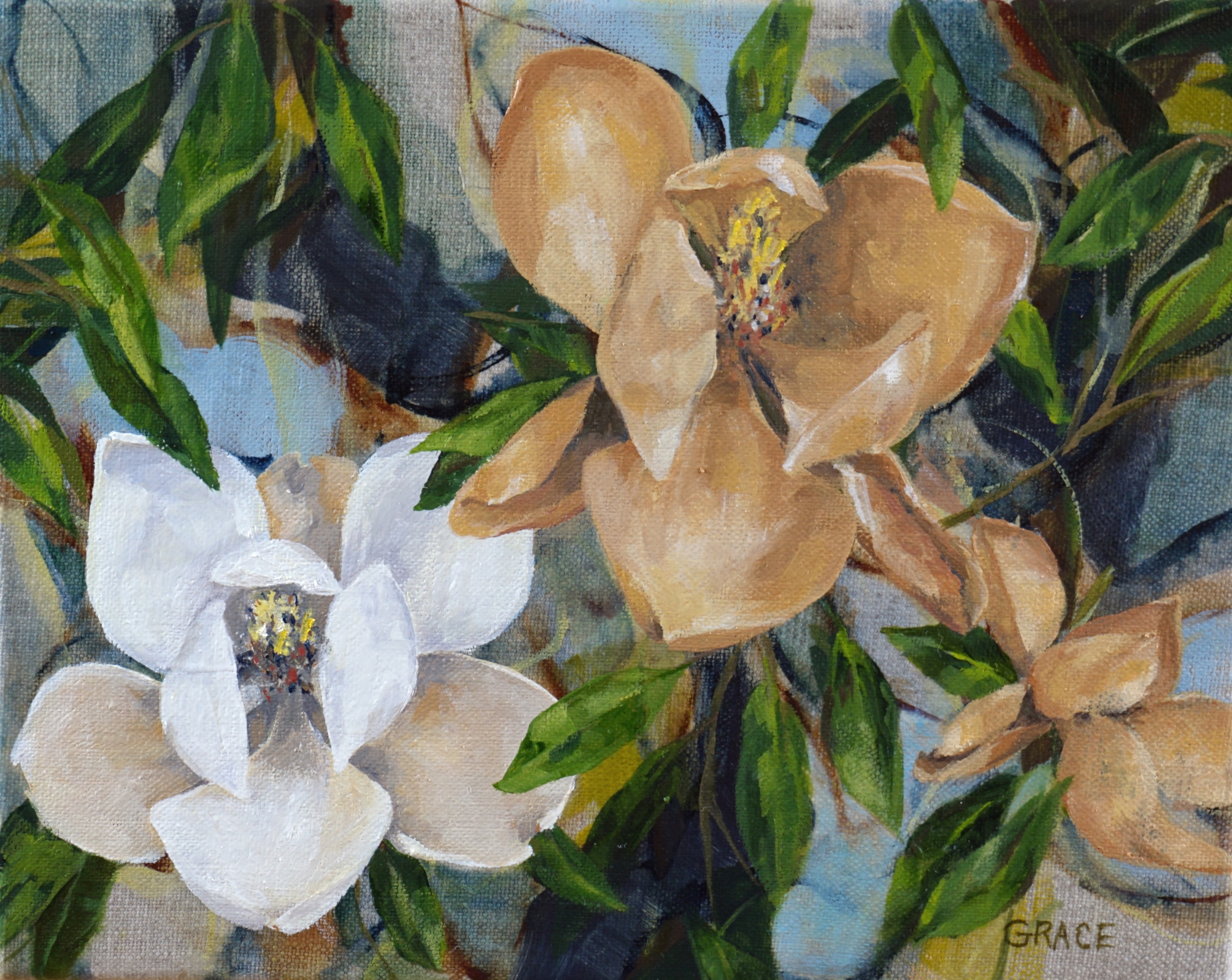 Magnolia 1