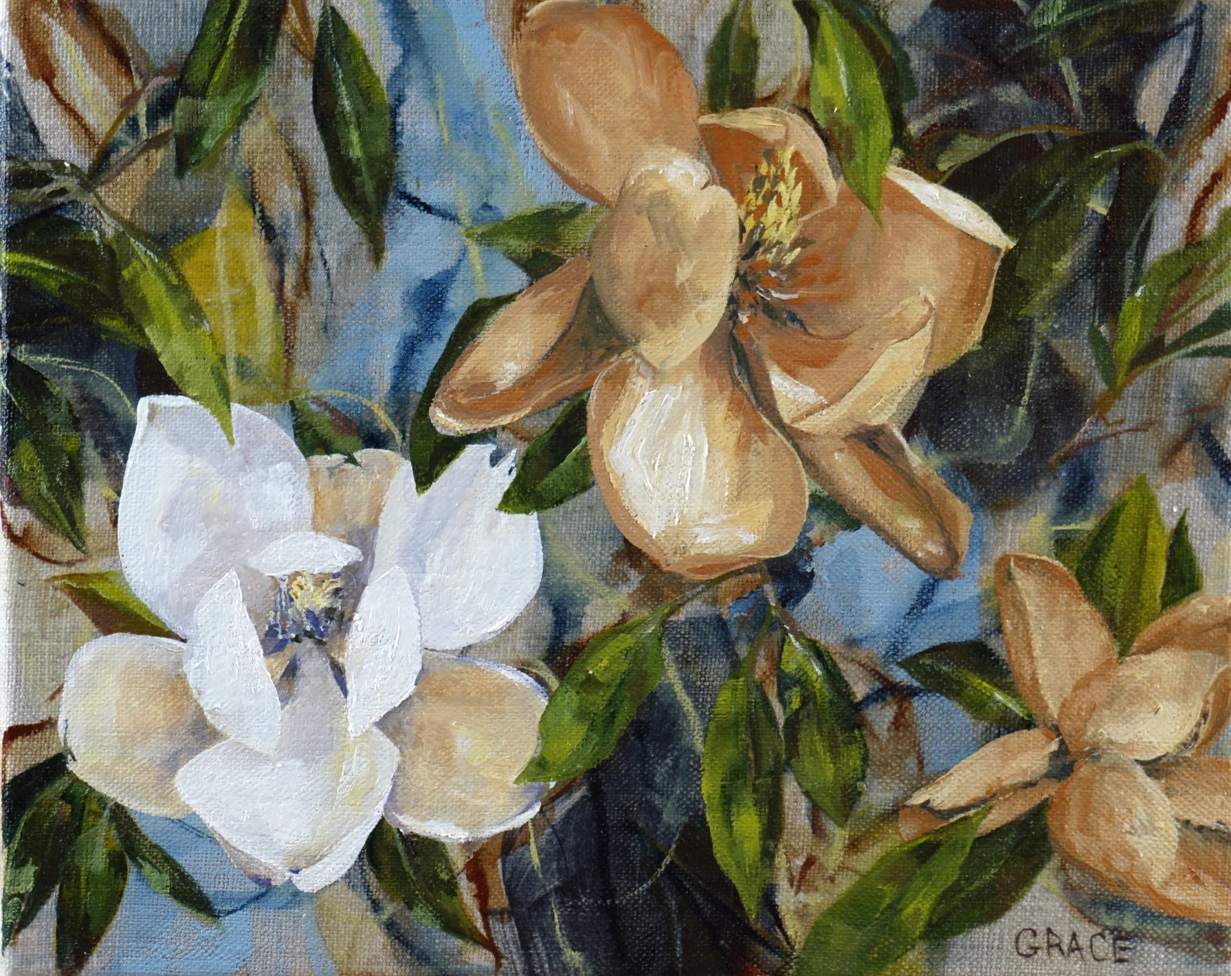 Magnolia 2
