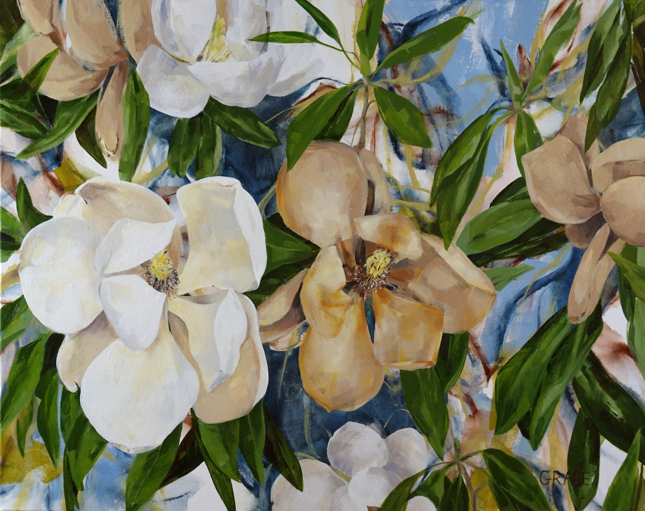 Magnolia 4