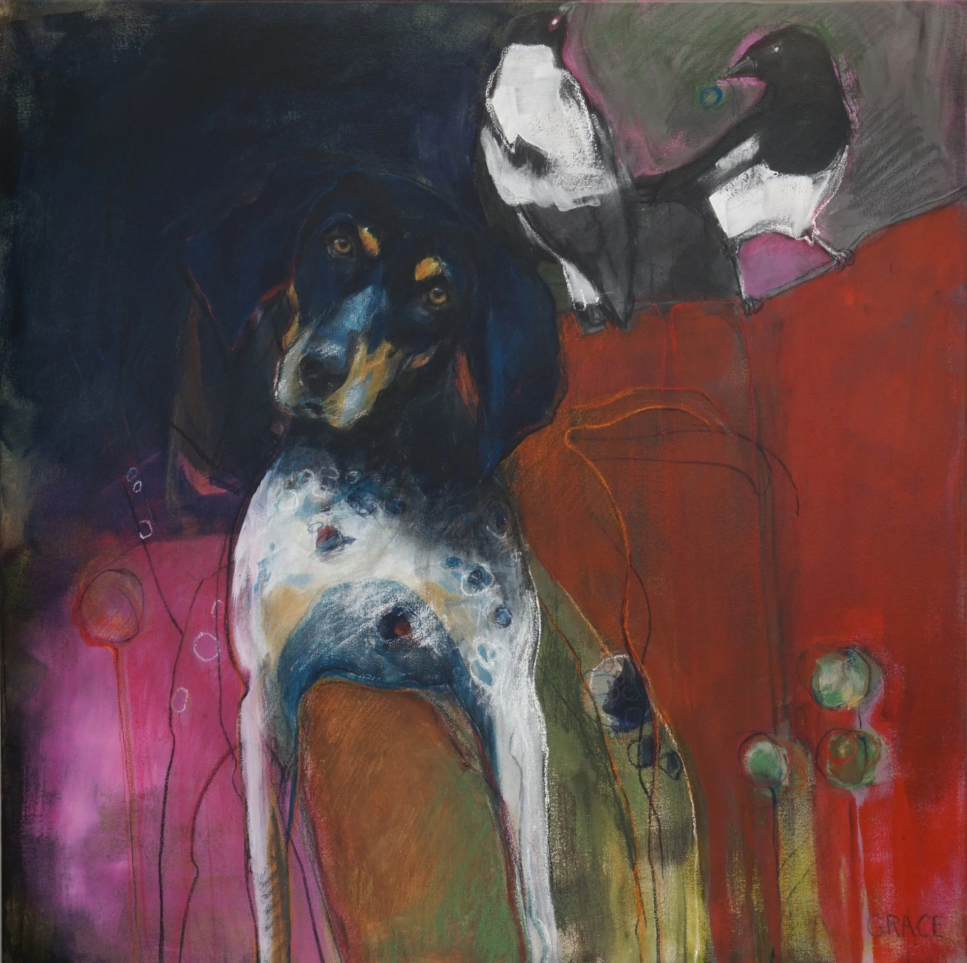 Dog with Maggies 