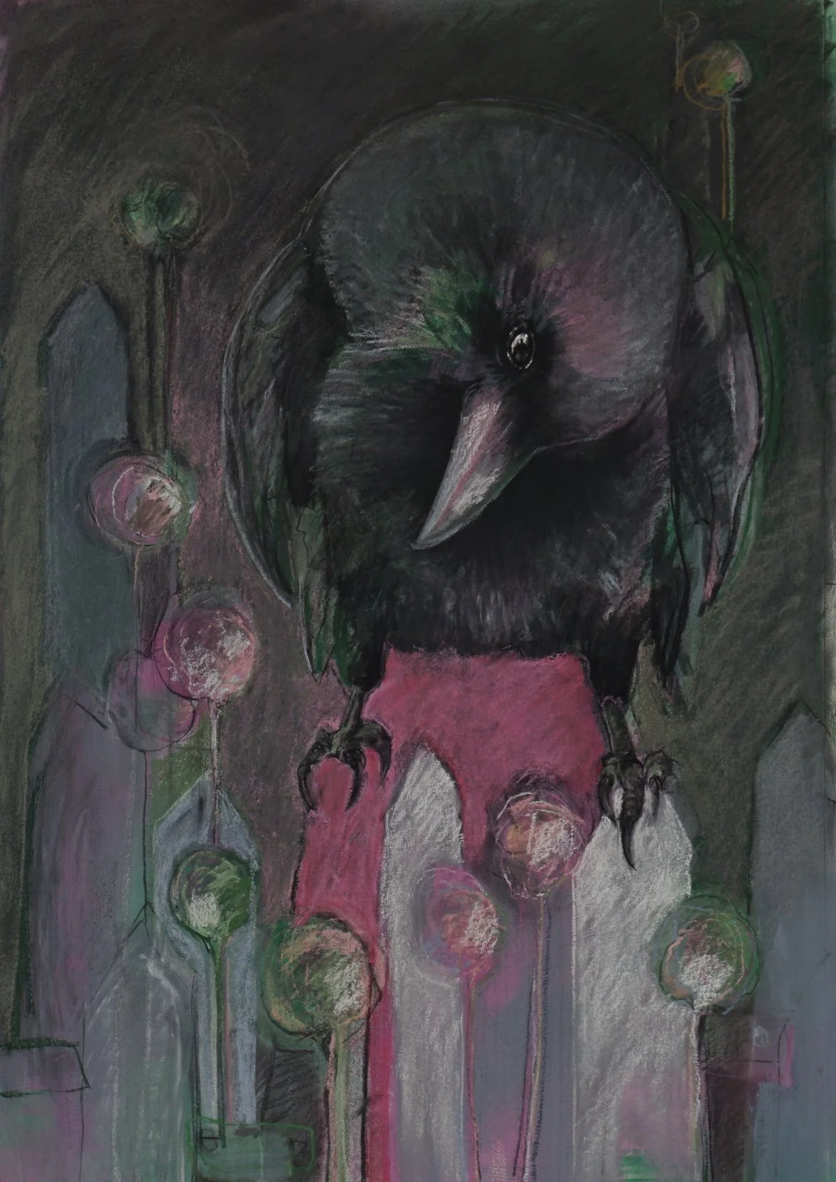 Pink Crow