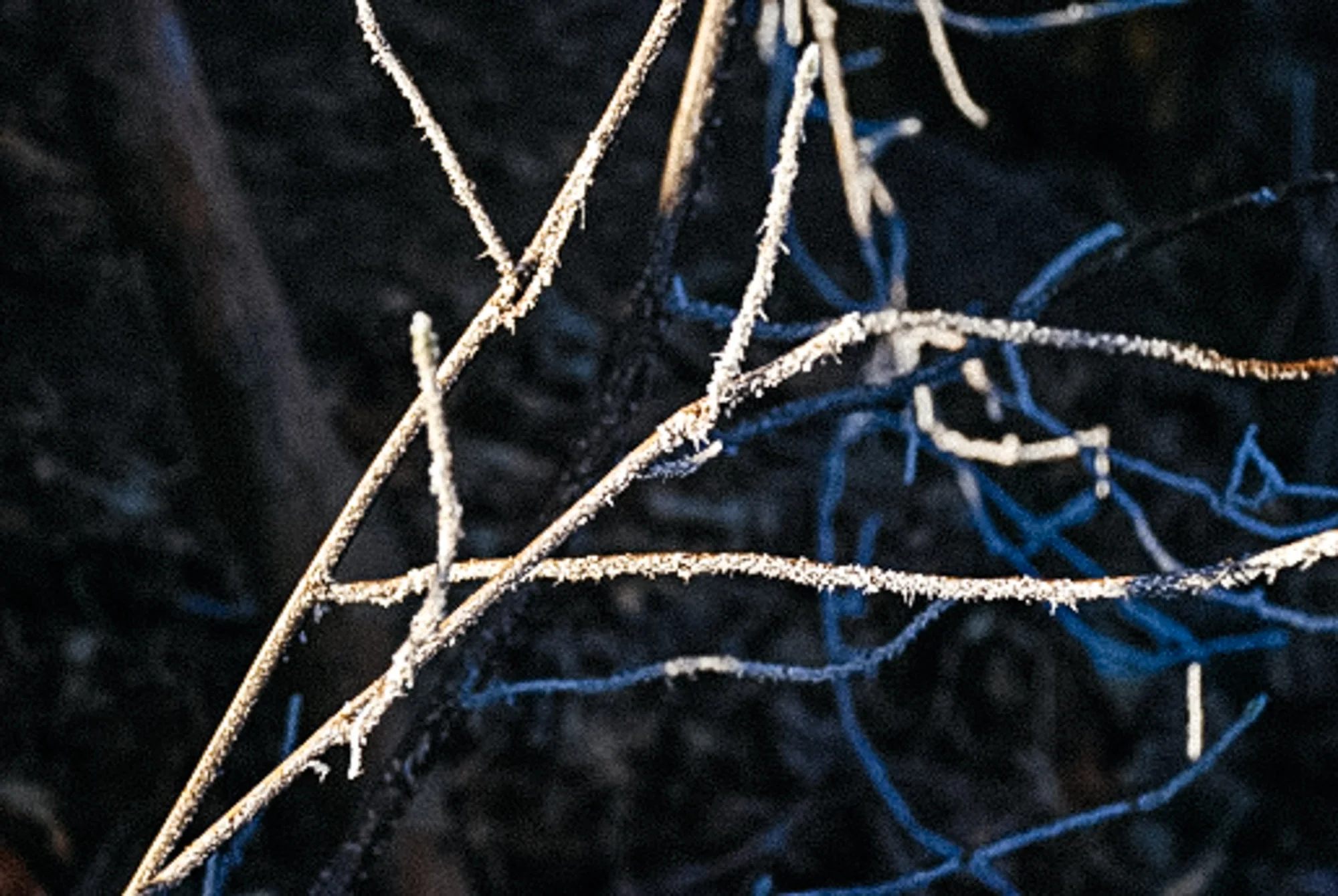 photo4.jpg