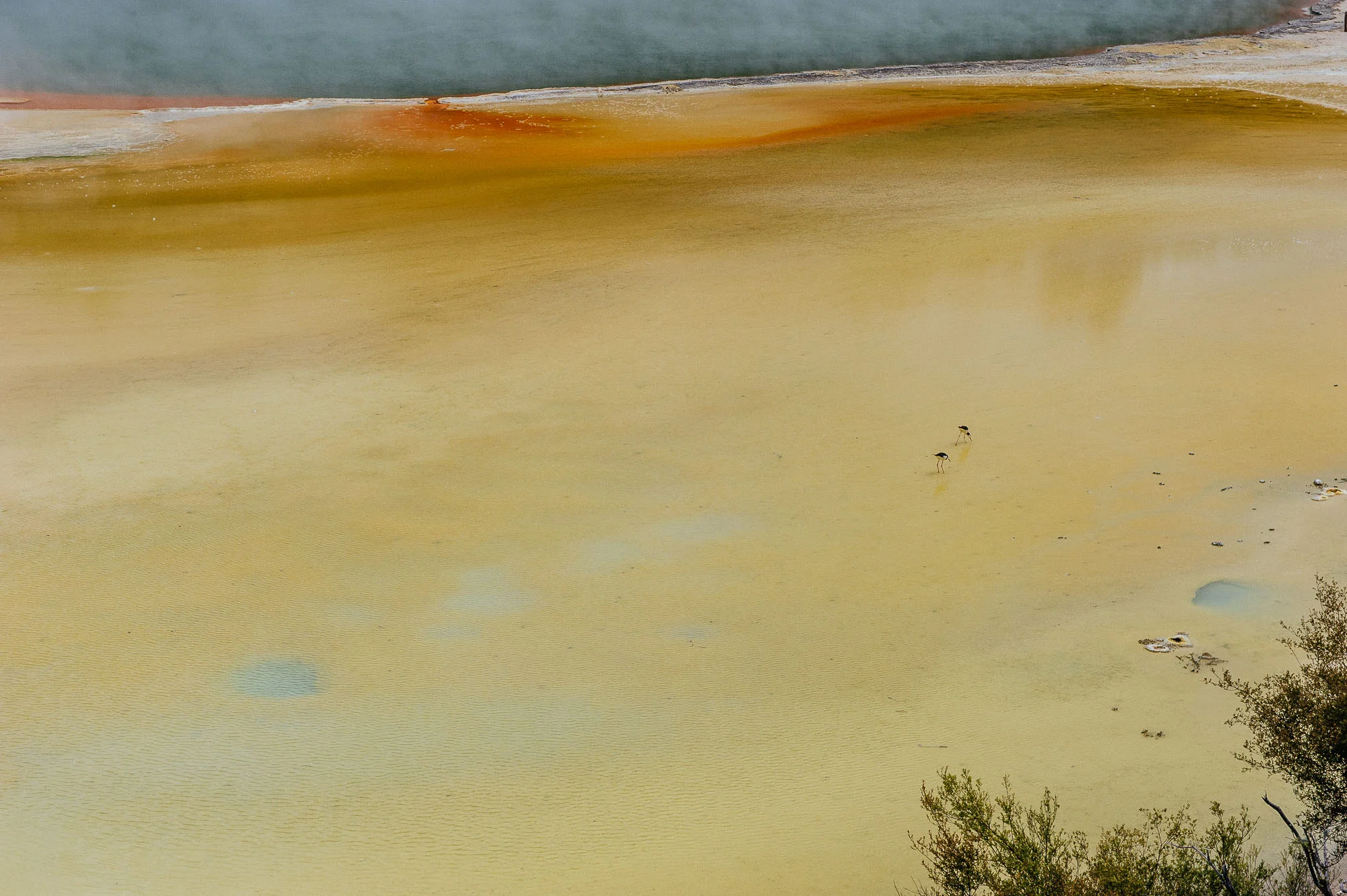 Volcanic Rotorua in New Zealand