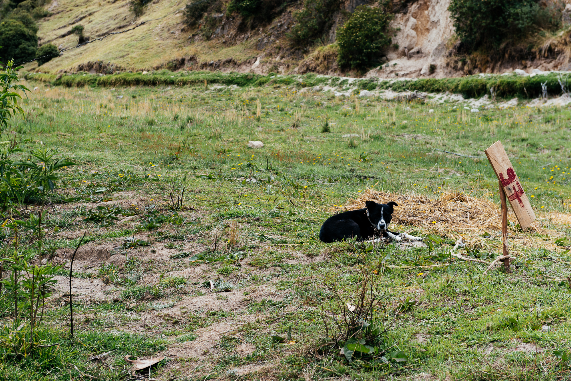 DSC_3531.jpg