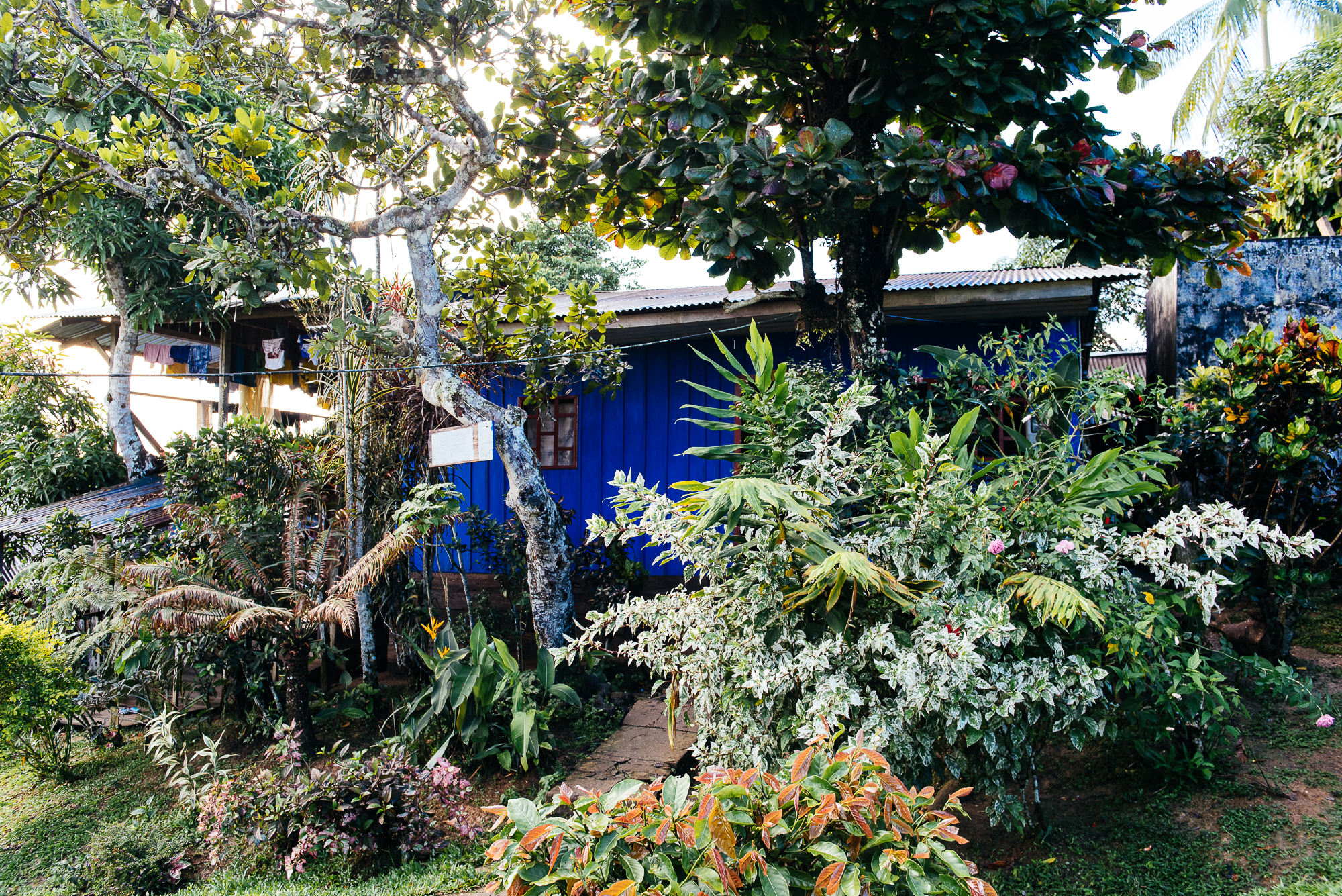 DSC_3927.jpg