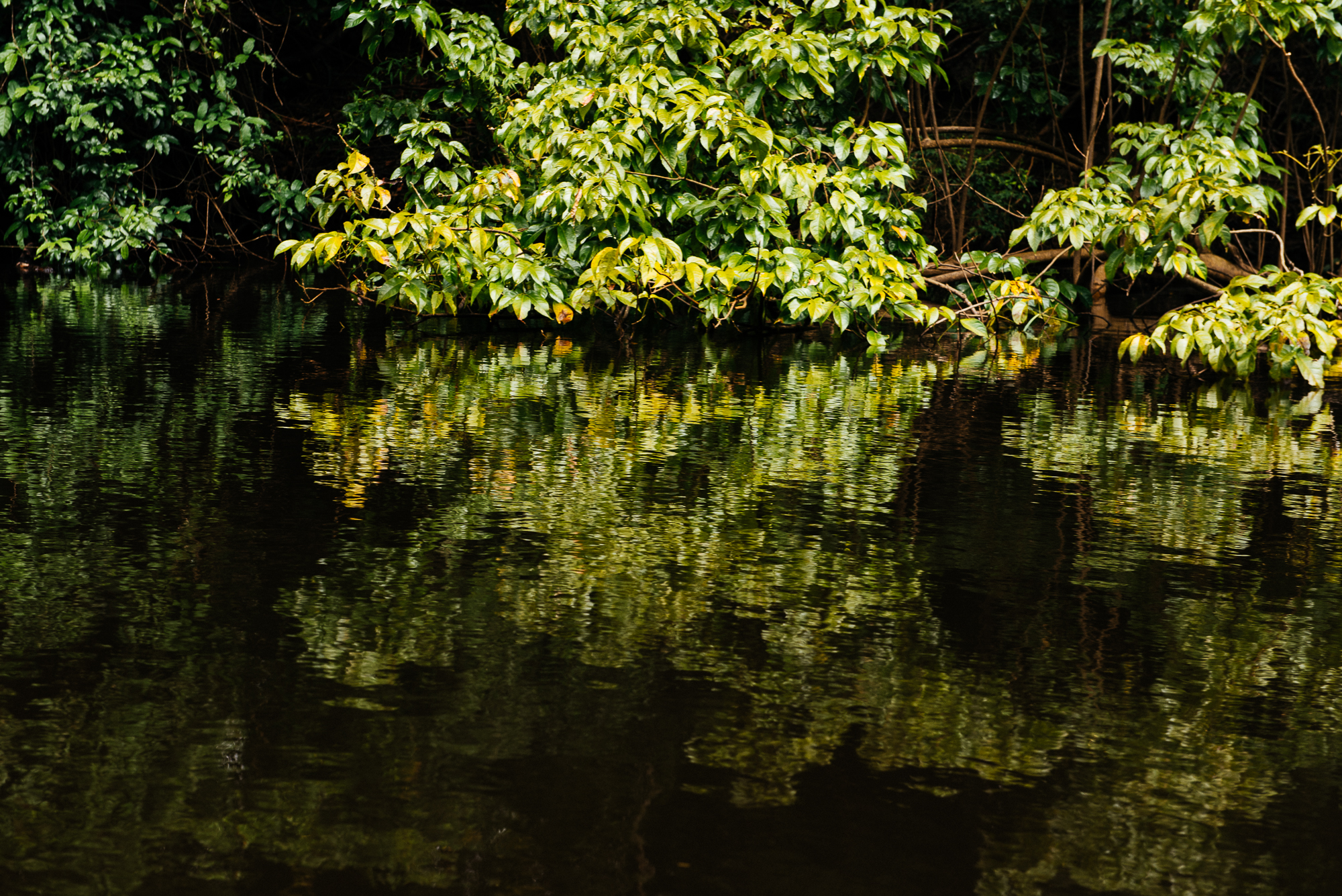 DSC_3976.jpg
