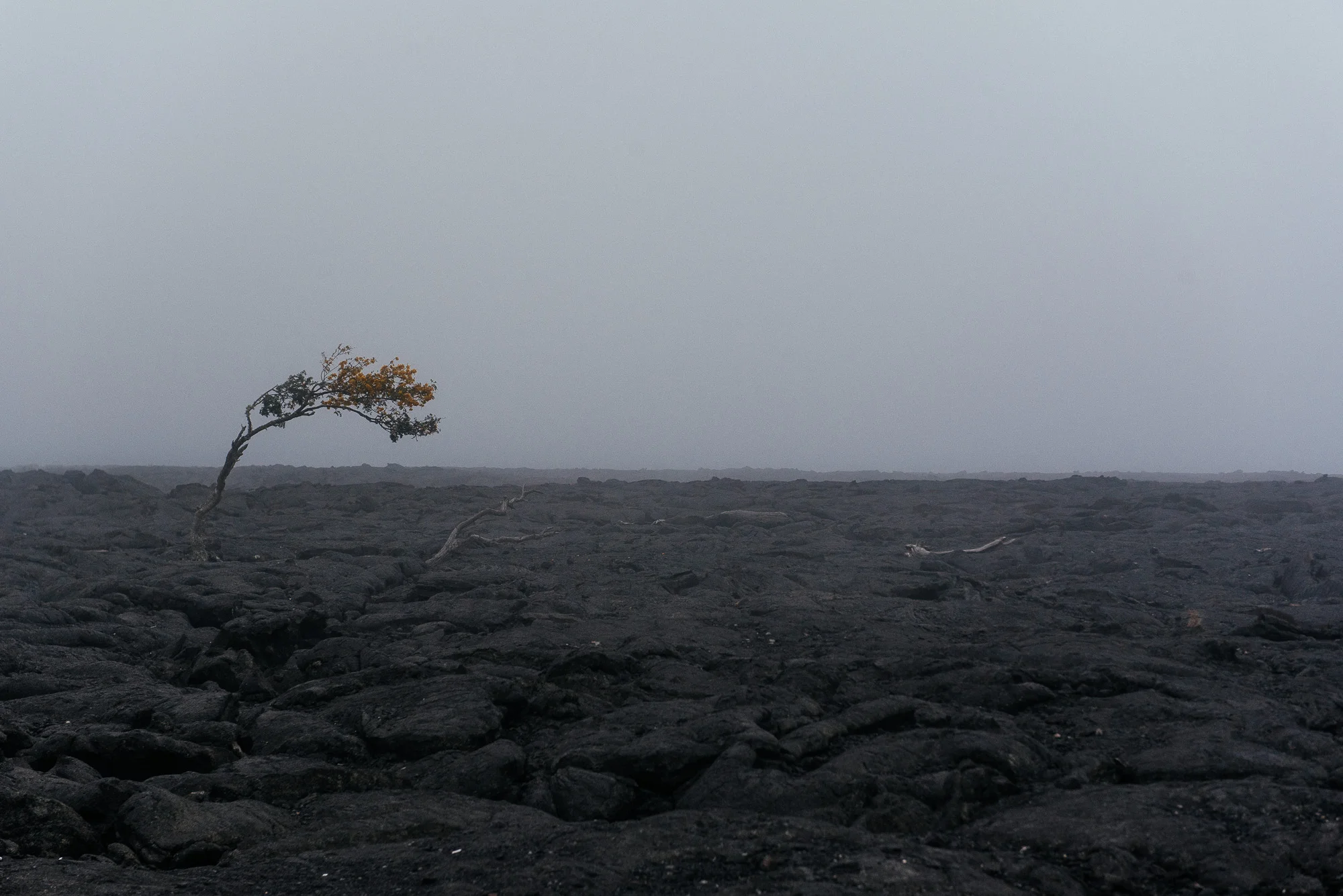 Paysage volcanique sur Big Island - Volcanic landscape on Big Island
