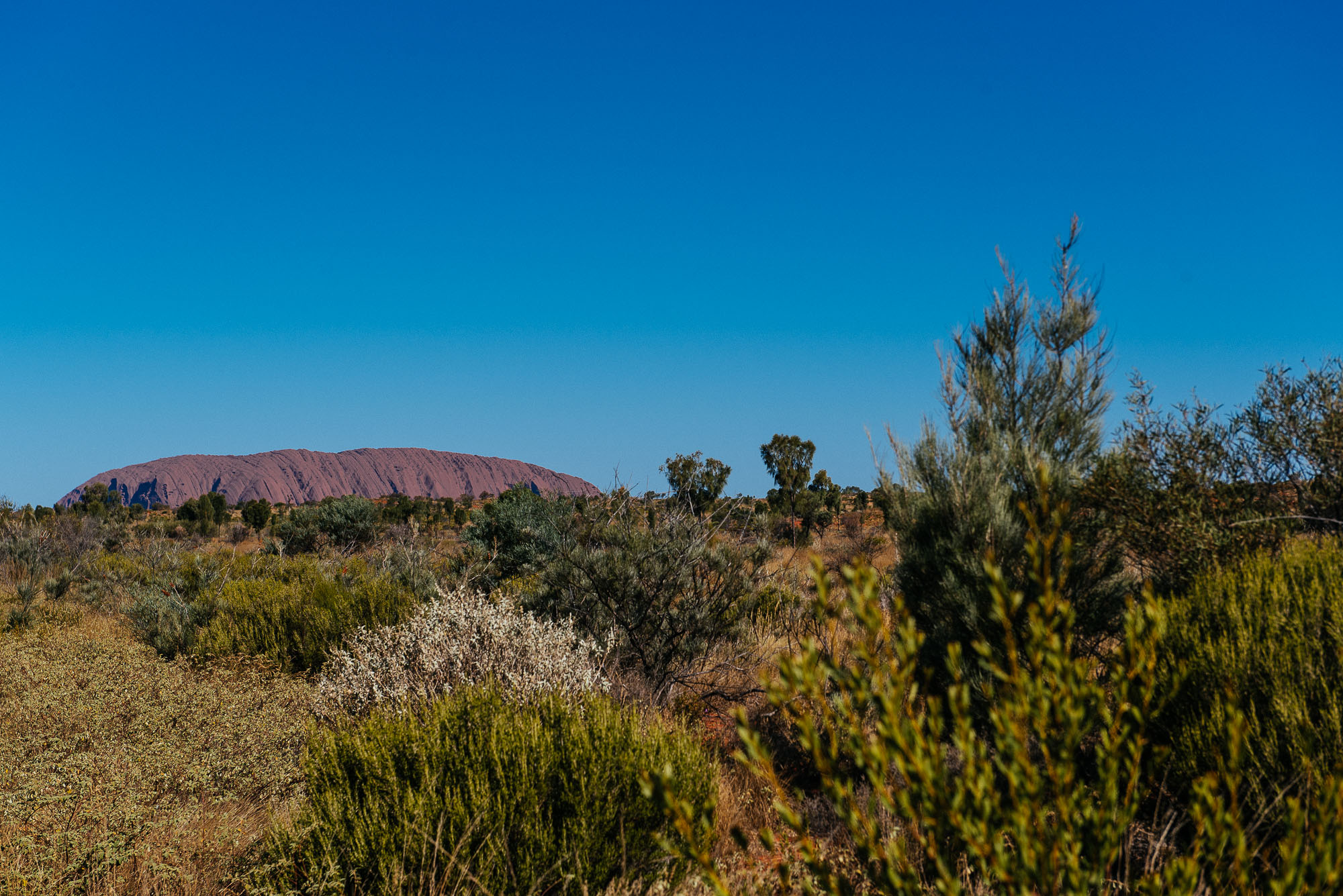 DSC_5878.jpg
