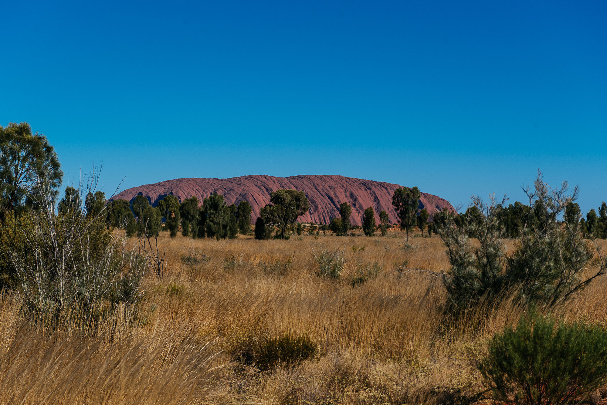 DSC_5882.jpg
