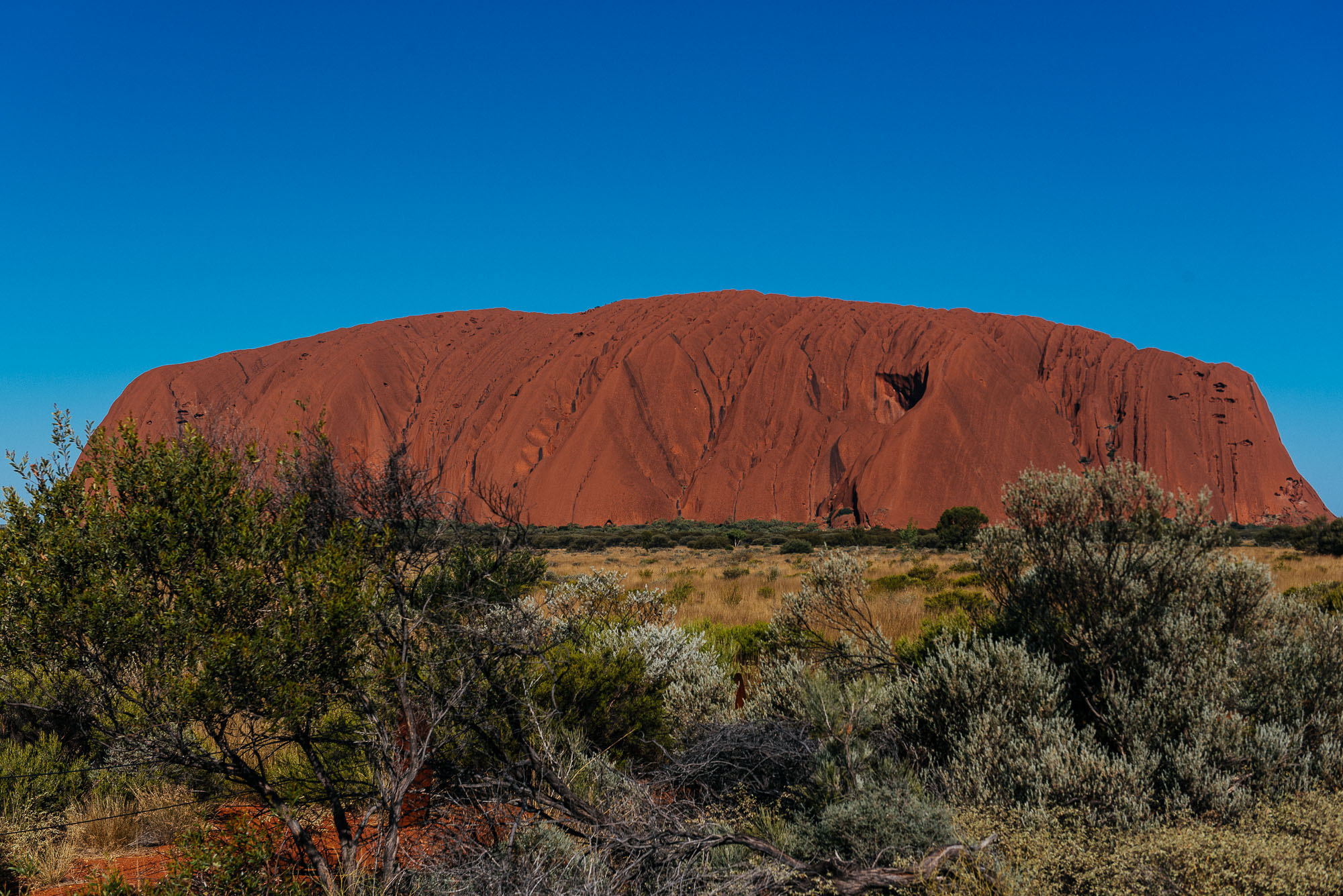 DSC_5888.jpg