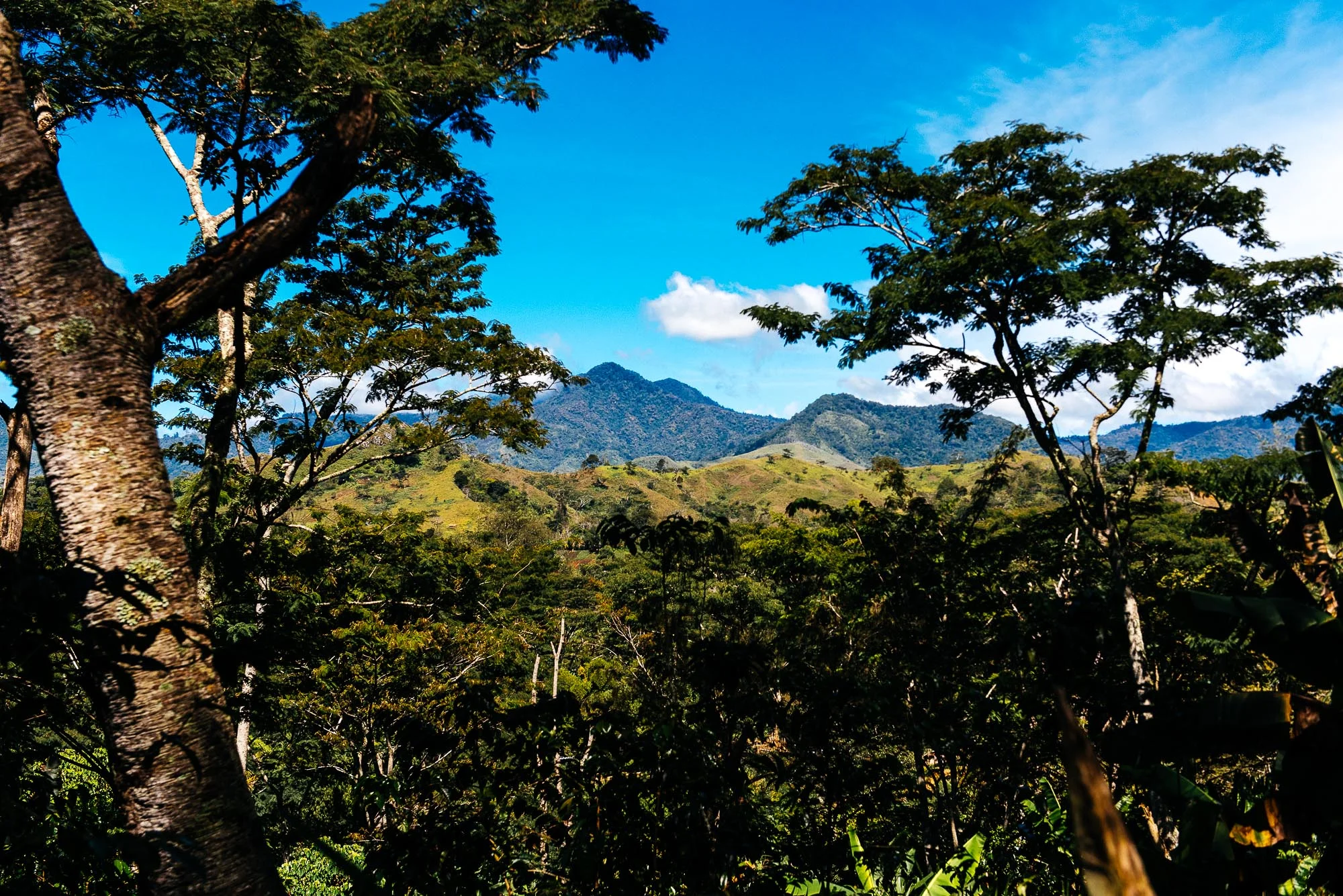 DSC_5957.jpg