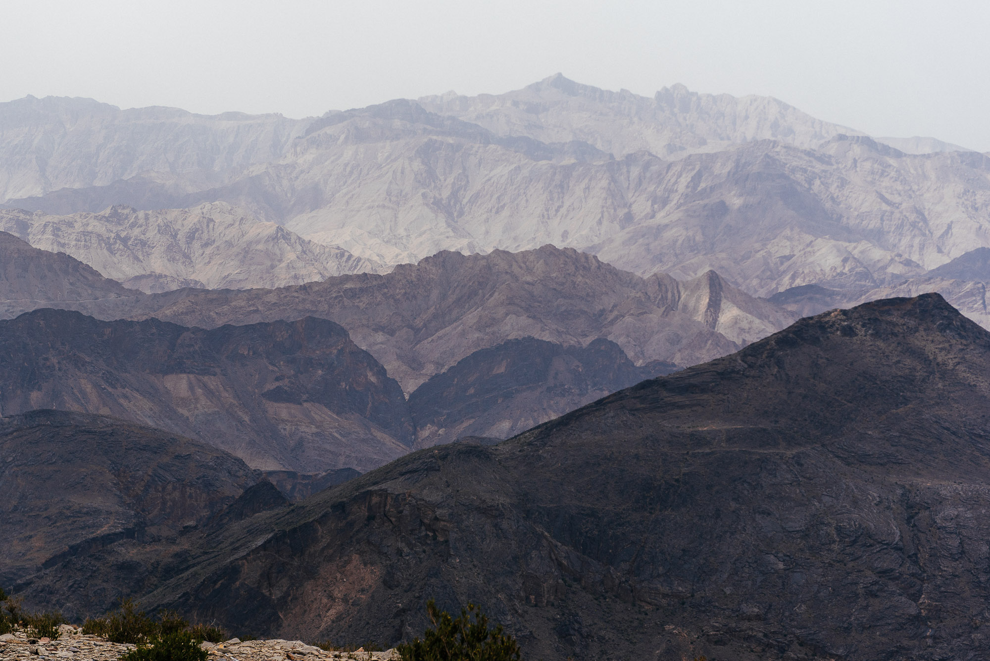 DSC_6287.jpg