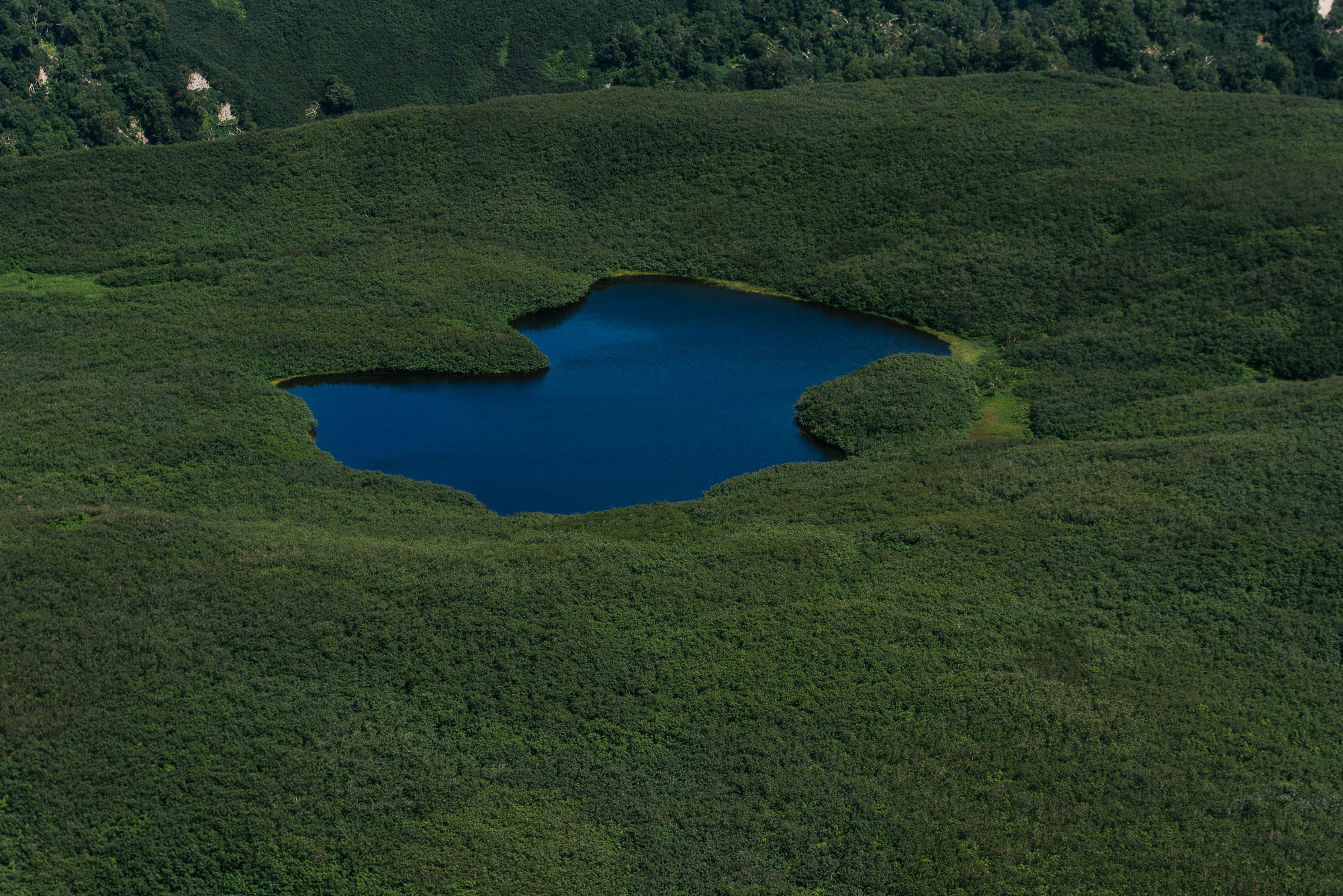 DSC_7191.jpg
