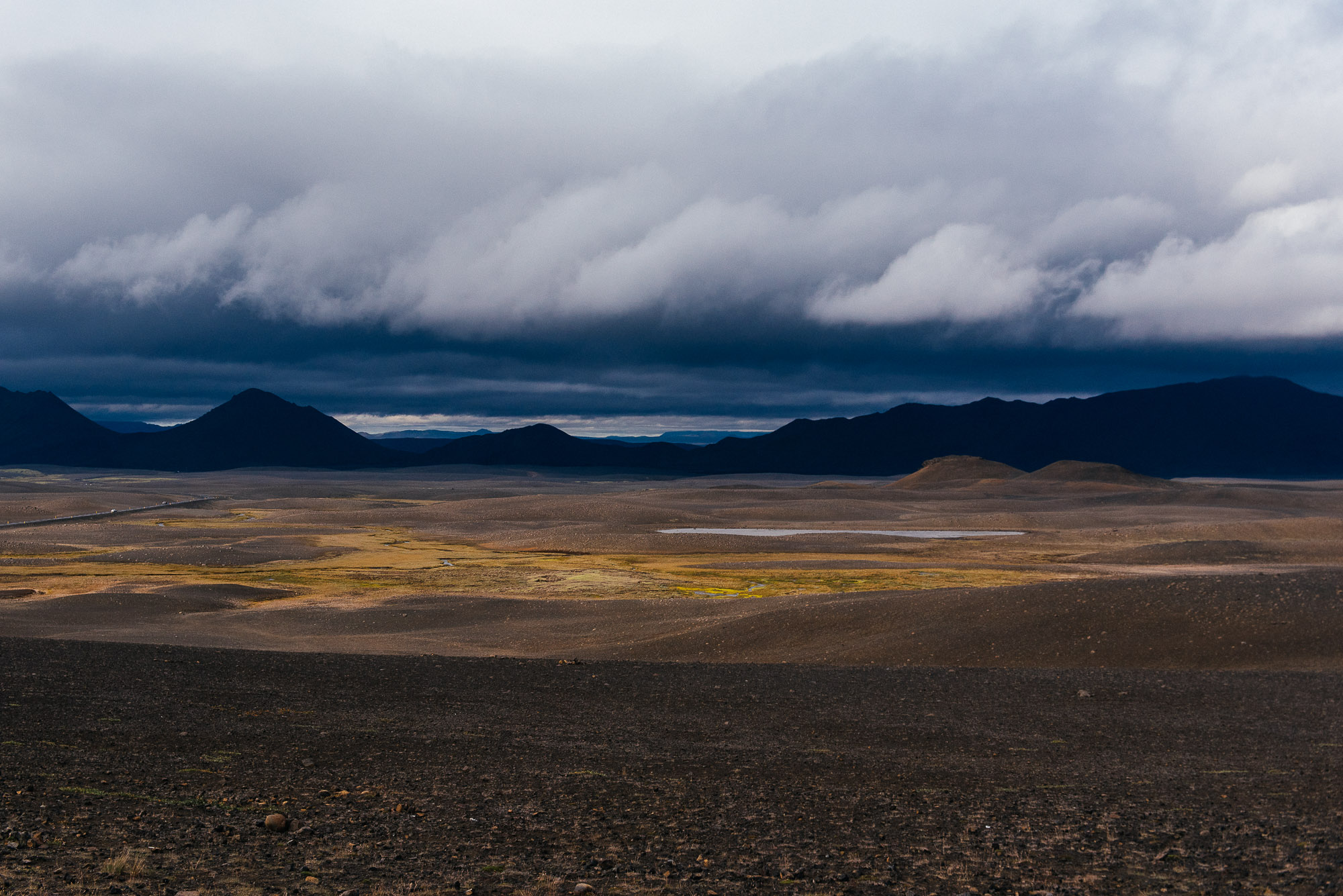 DSC_7402.jpg