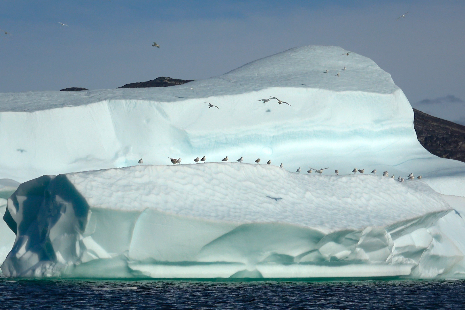 icebergs copie.jpg