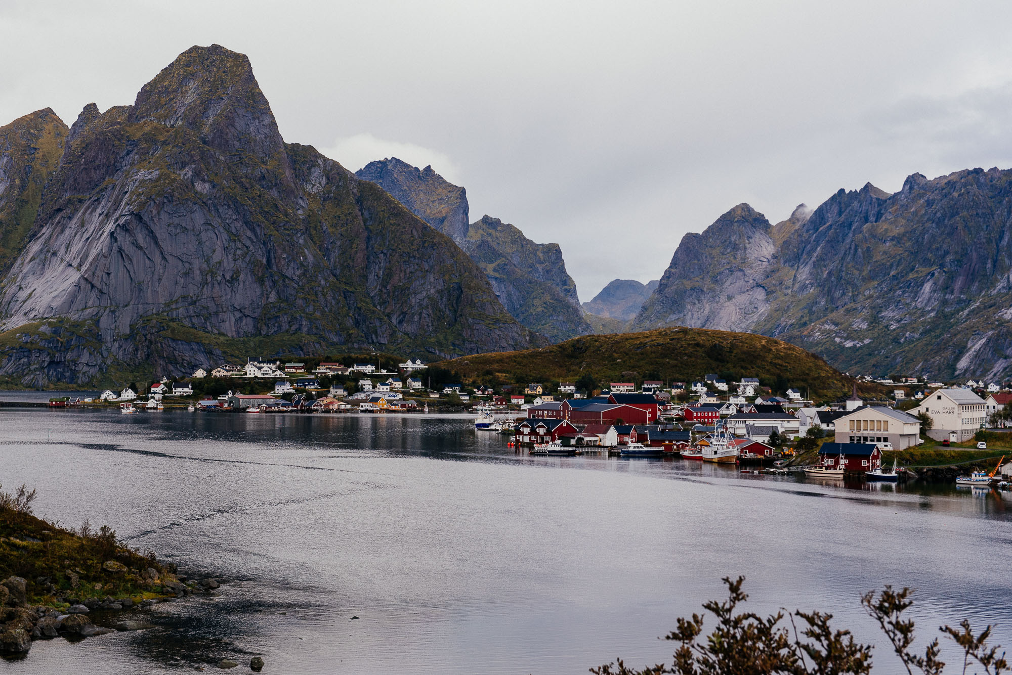 DSC_7818.jpg