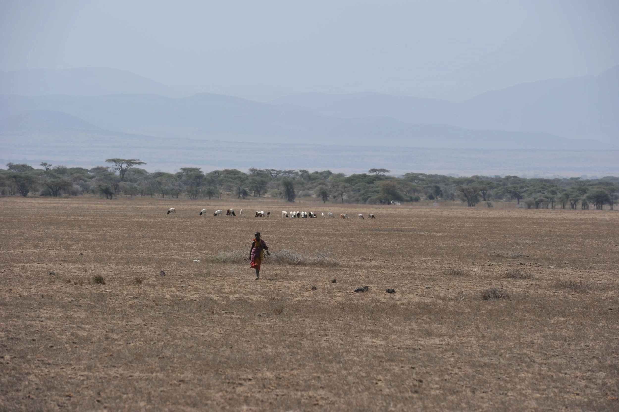 Portraits de peuples autochtones dans le monde - Portraits of indigenous people around the world