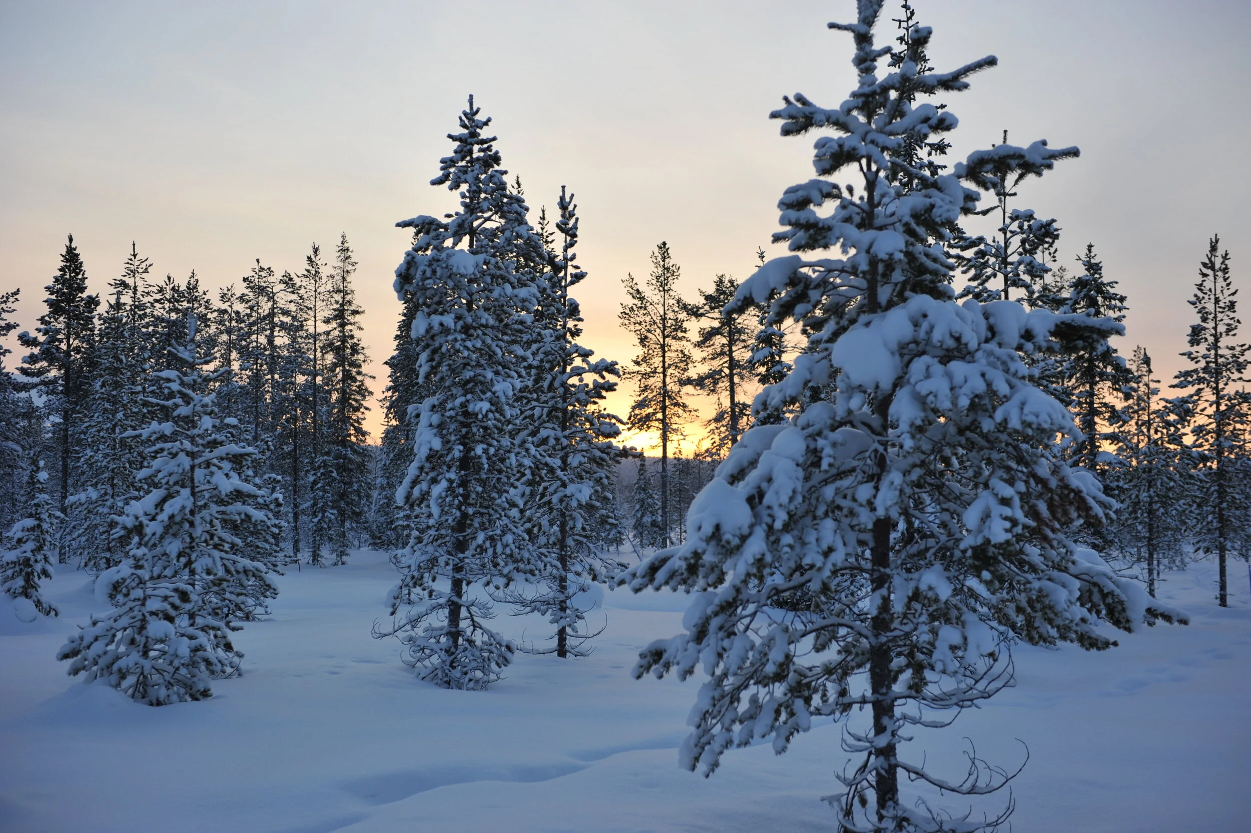 Winter in Lapland in Finland