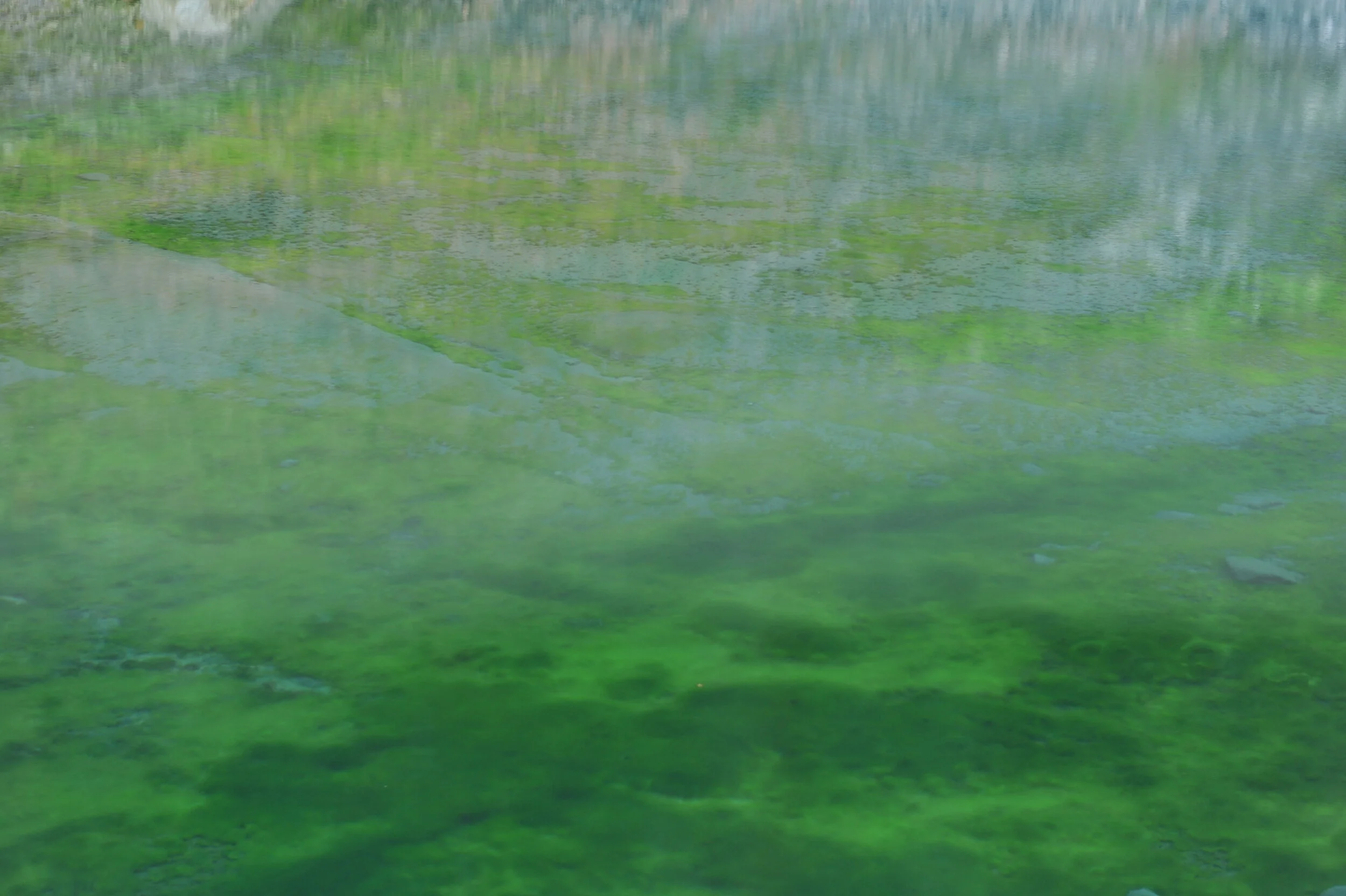 Green Volcanism in New Zealand