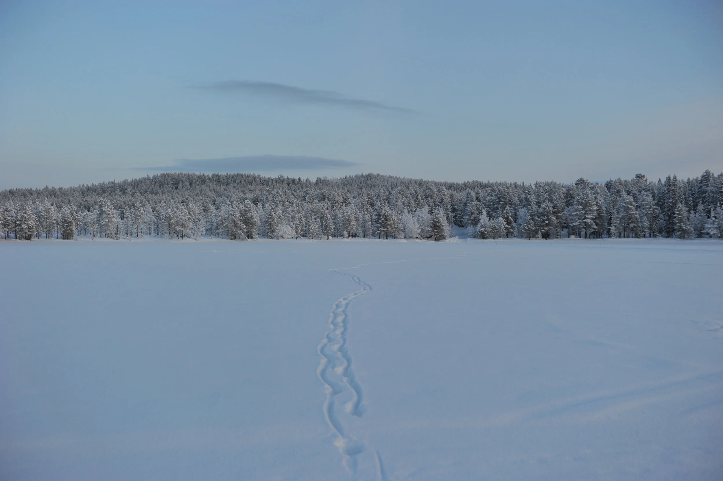 Snow Path in Lapland in Finland