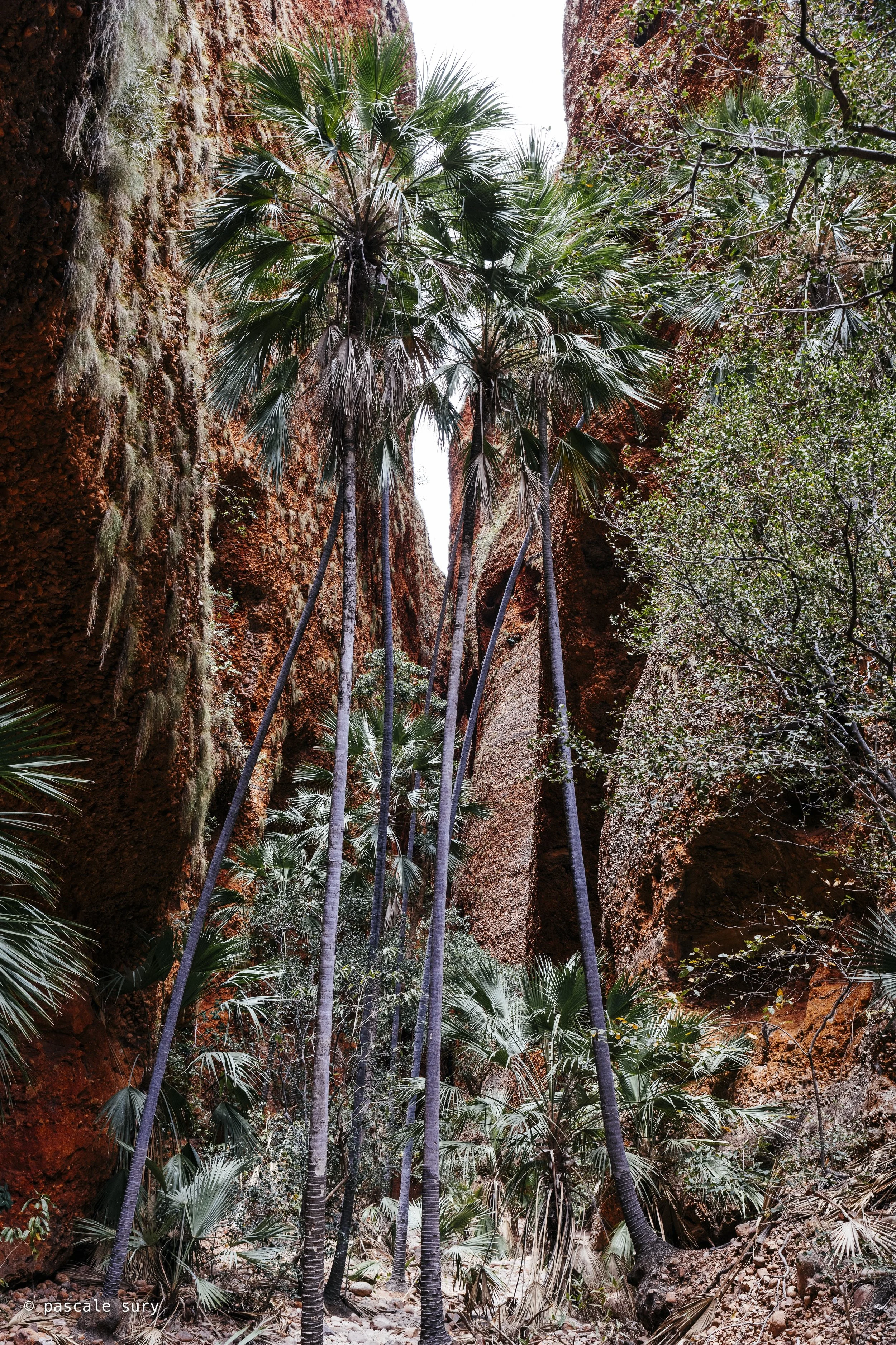 DSC_7854.jpg