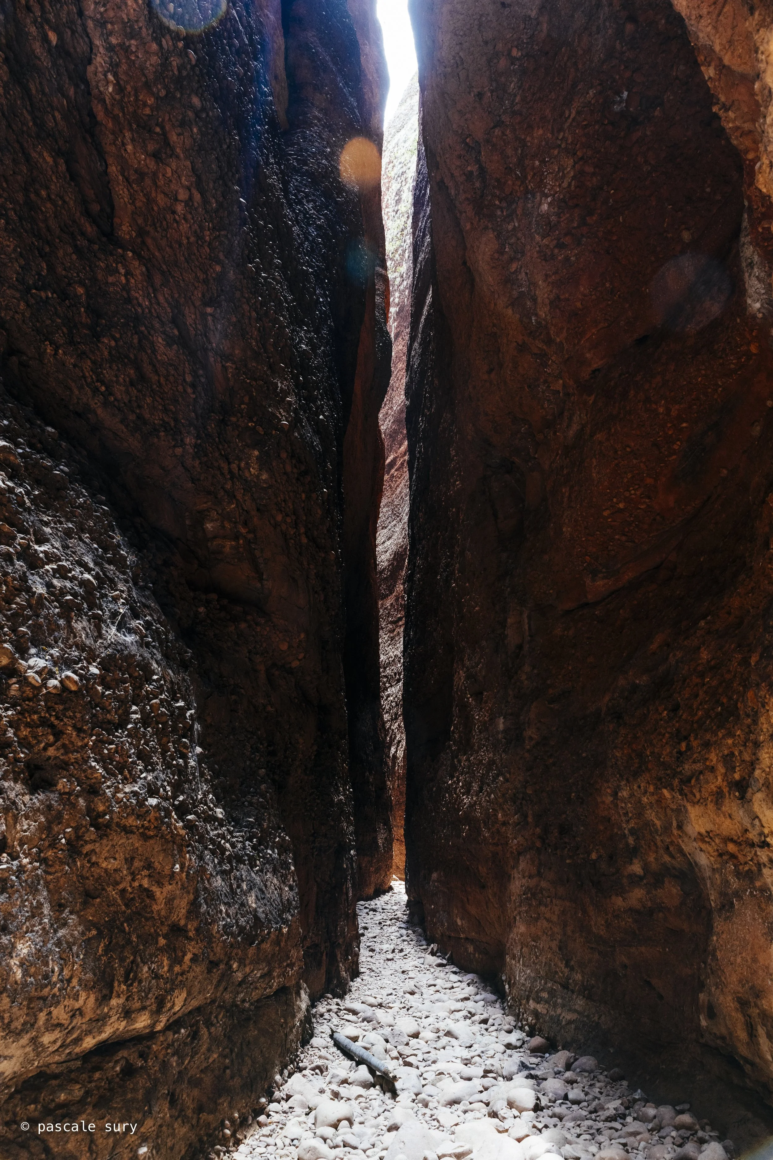 DSC_7864.jpg