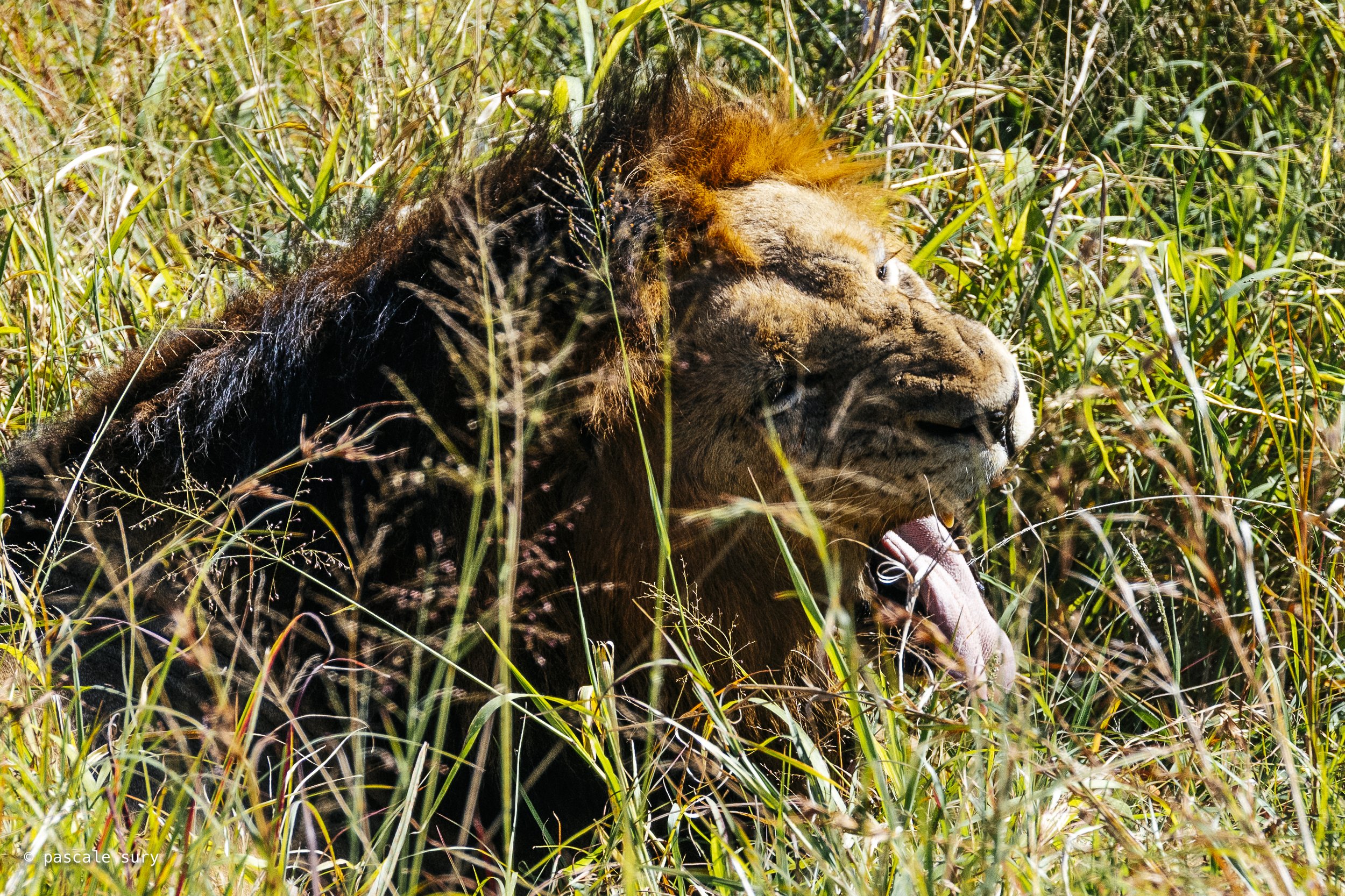 DSC_9024.jpg