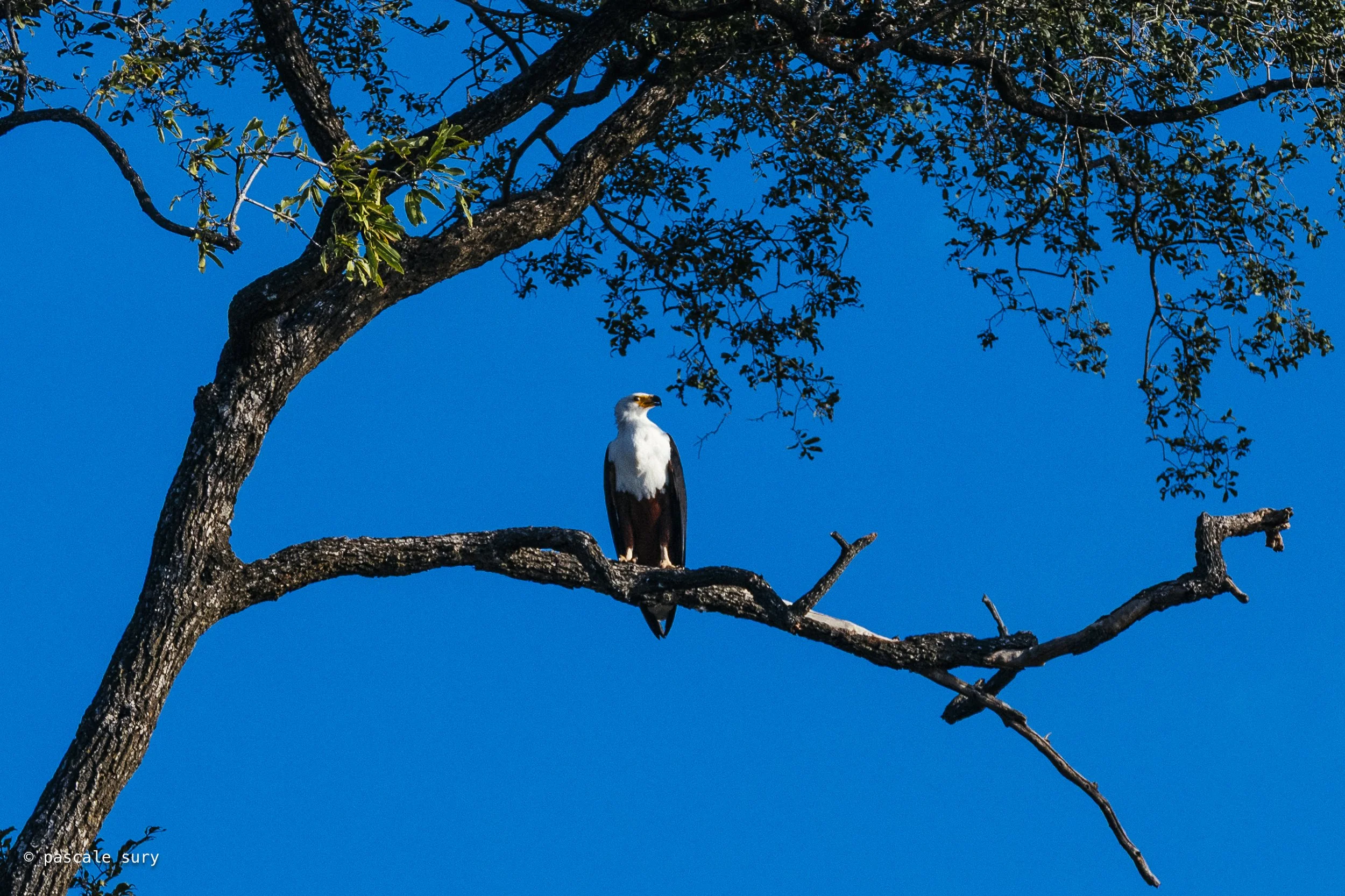 DSC_8836-2.jpg