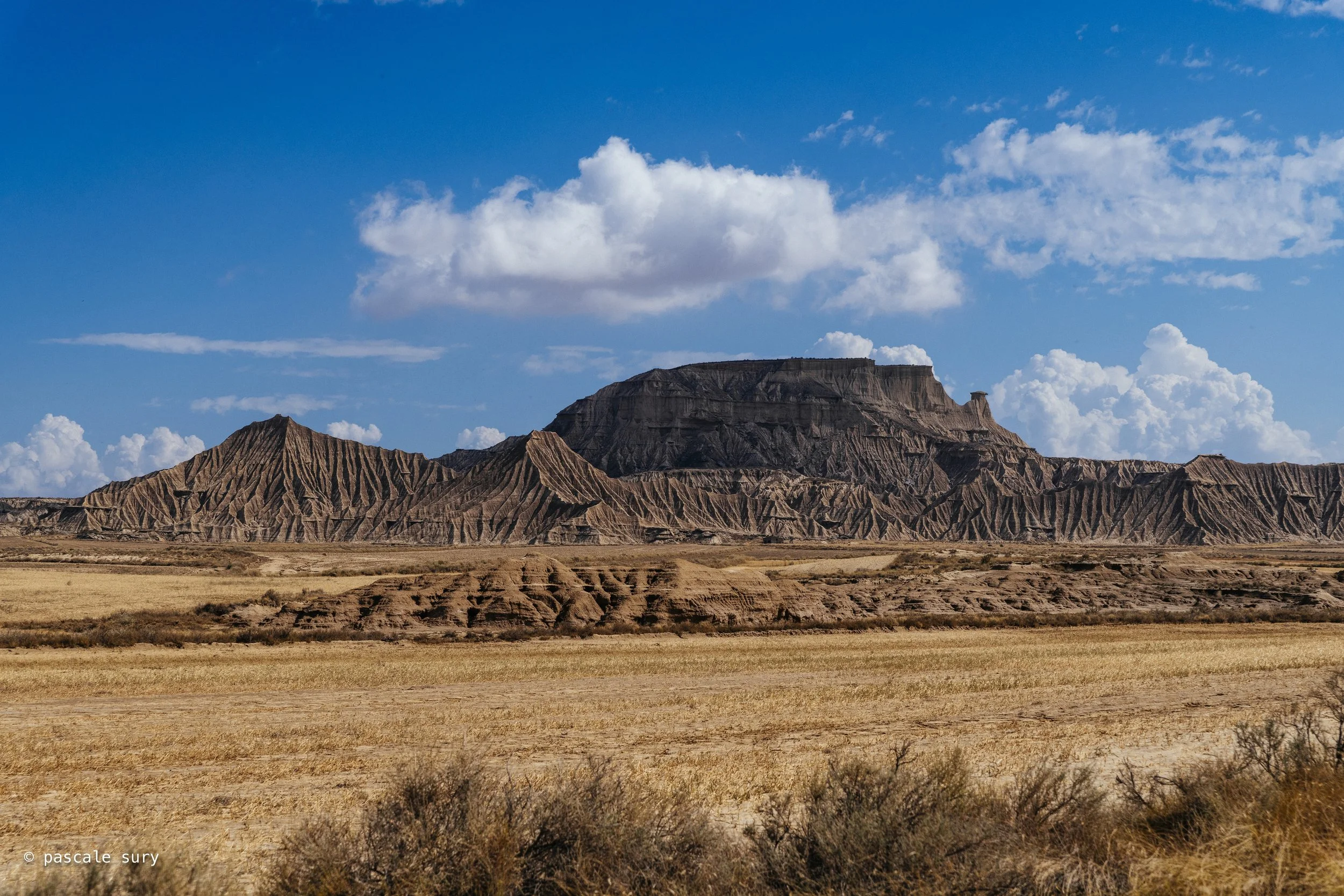 DSC_9085.jpg