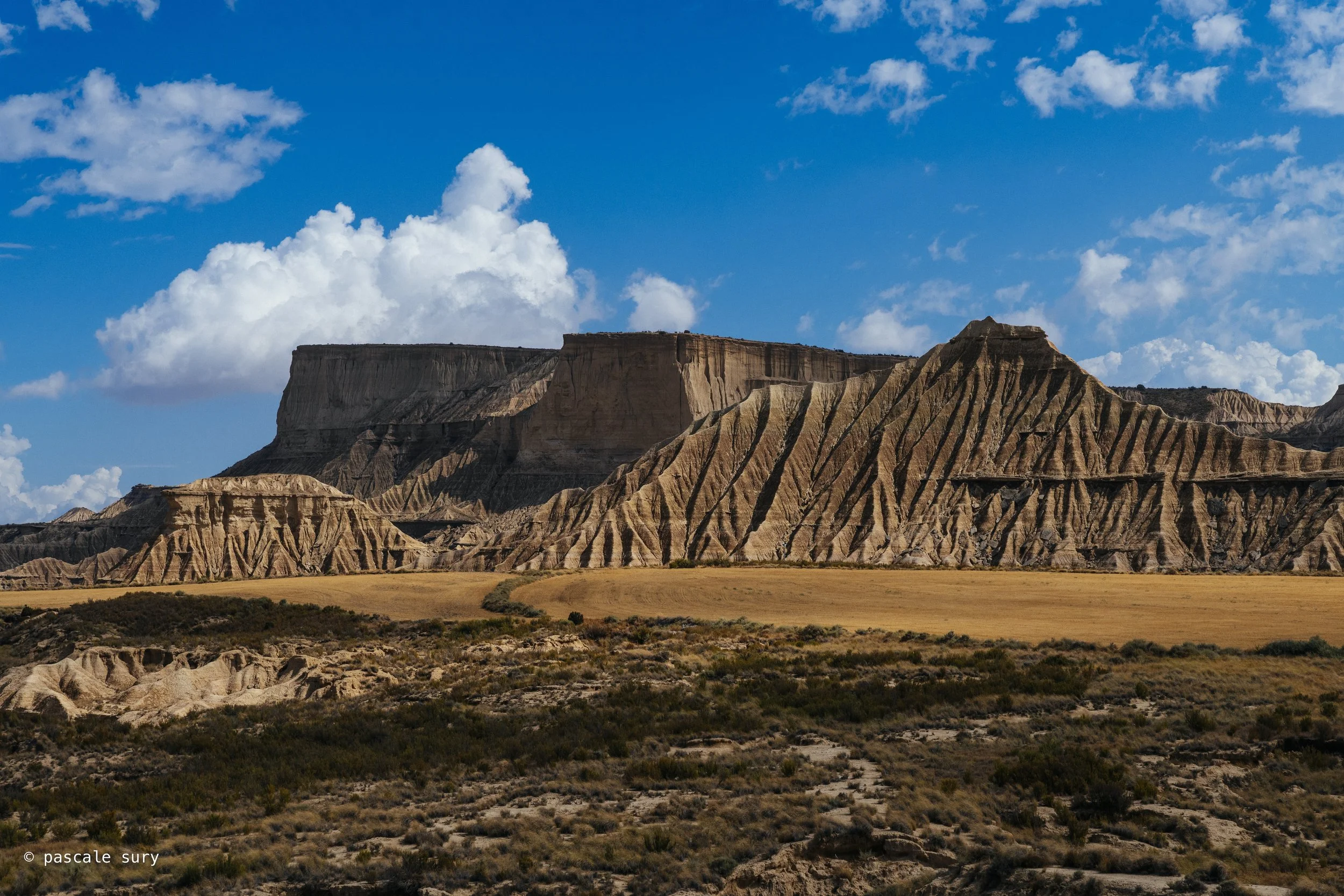 DSC_9088.jpg