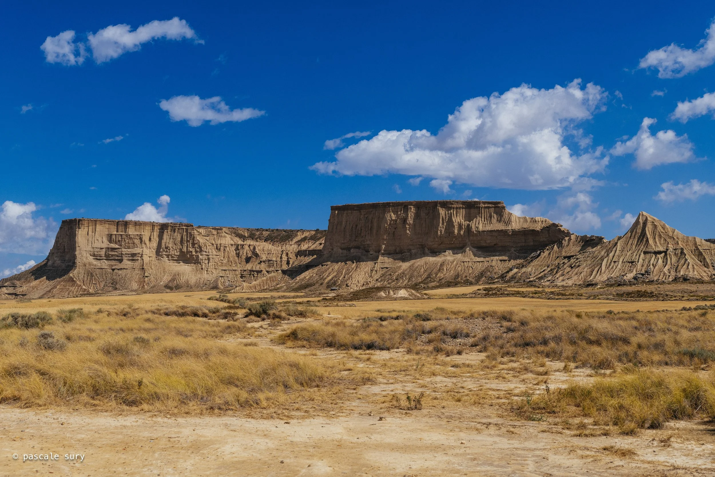 DSC_9090.jpg