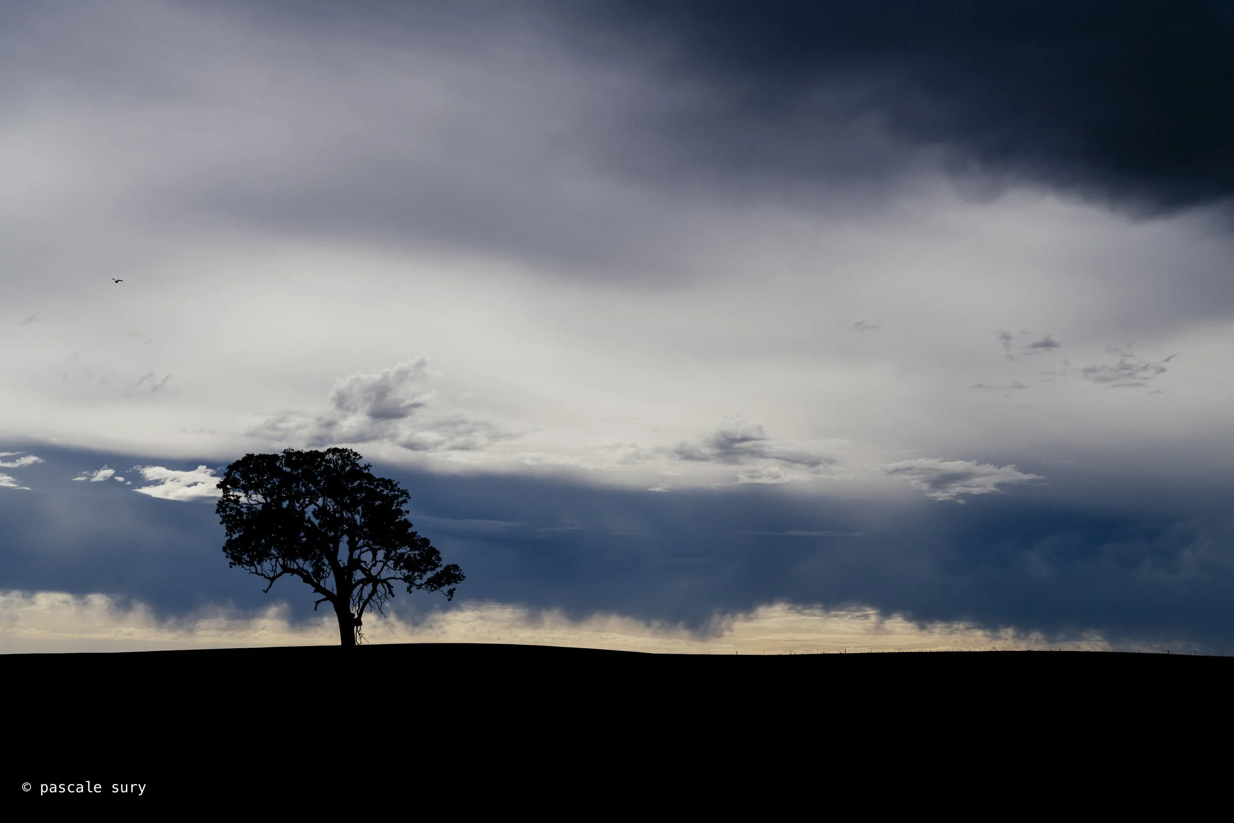DSC_7005.jpg