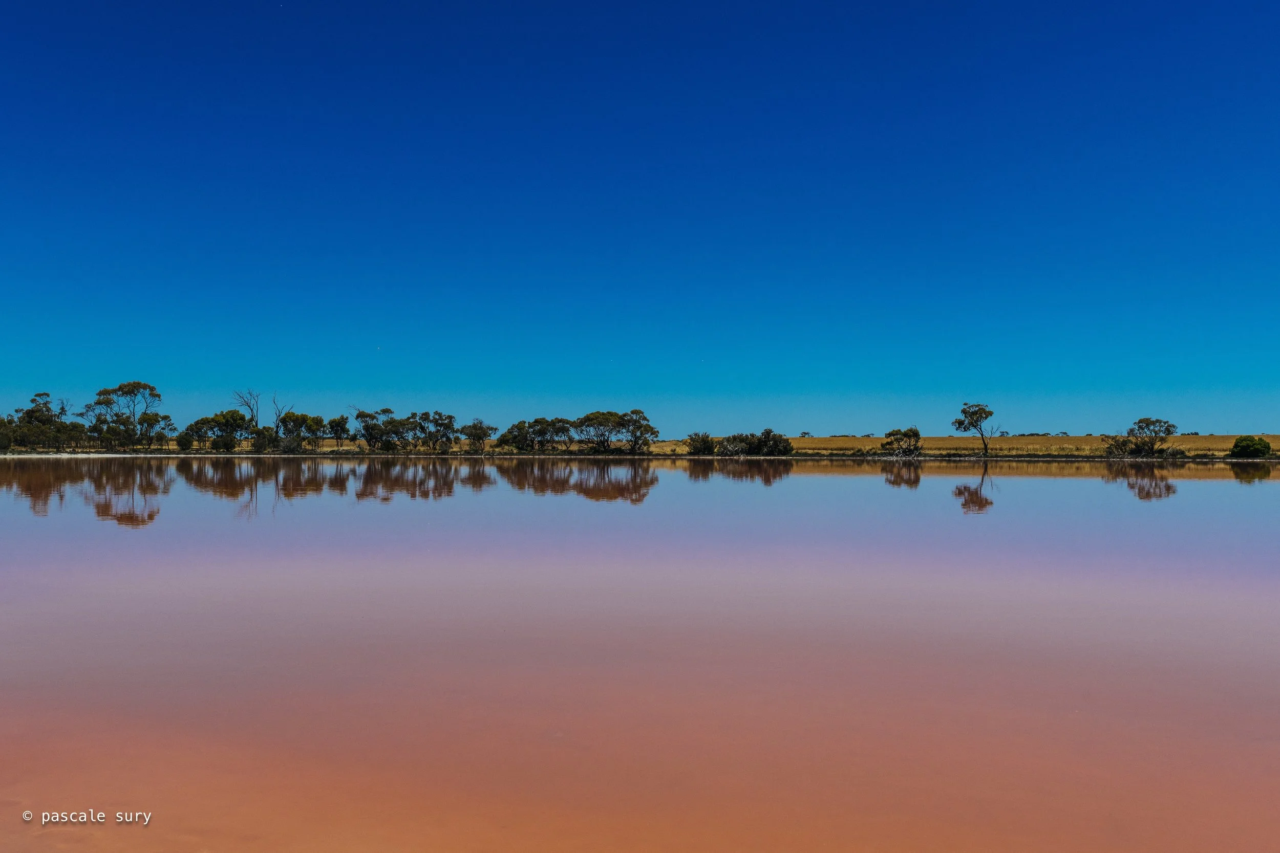 Pink lake - Cranbrook - Site Internet.jpg