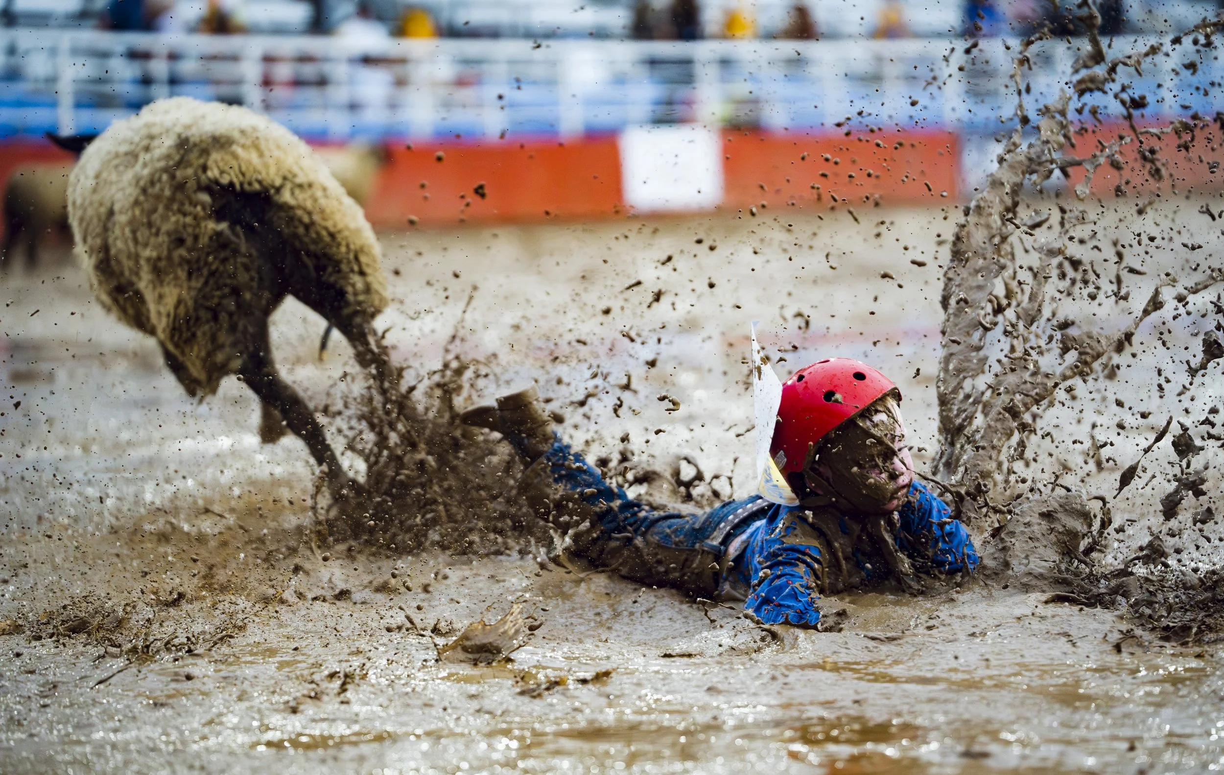A young rider loses control after getting bucked off of a sheep, Thursday, June 25, 2026 during the mutton bustin' event on the second night of the Rodeo of the Ozarks at Parsons Stadium in Springdale. The Rodeo of the Ozarks, now in its 86th year, f