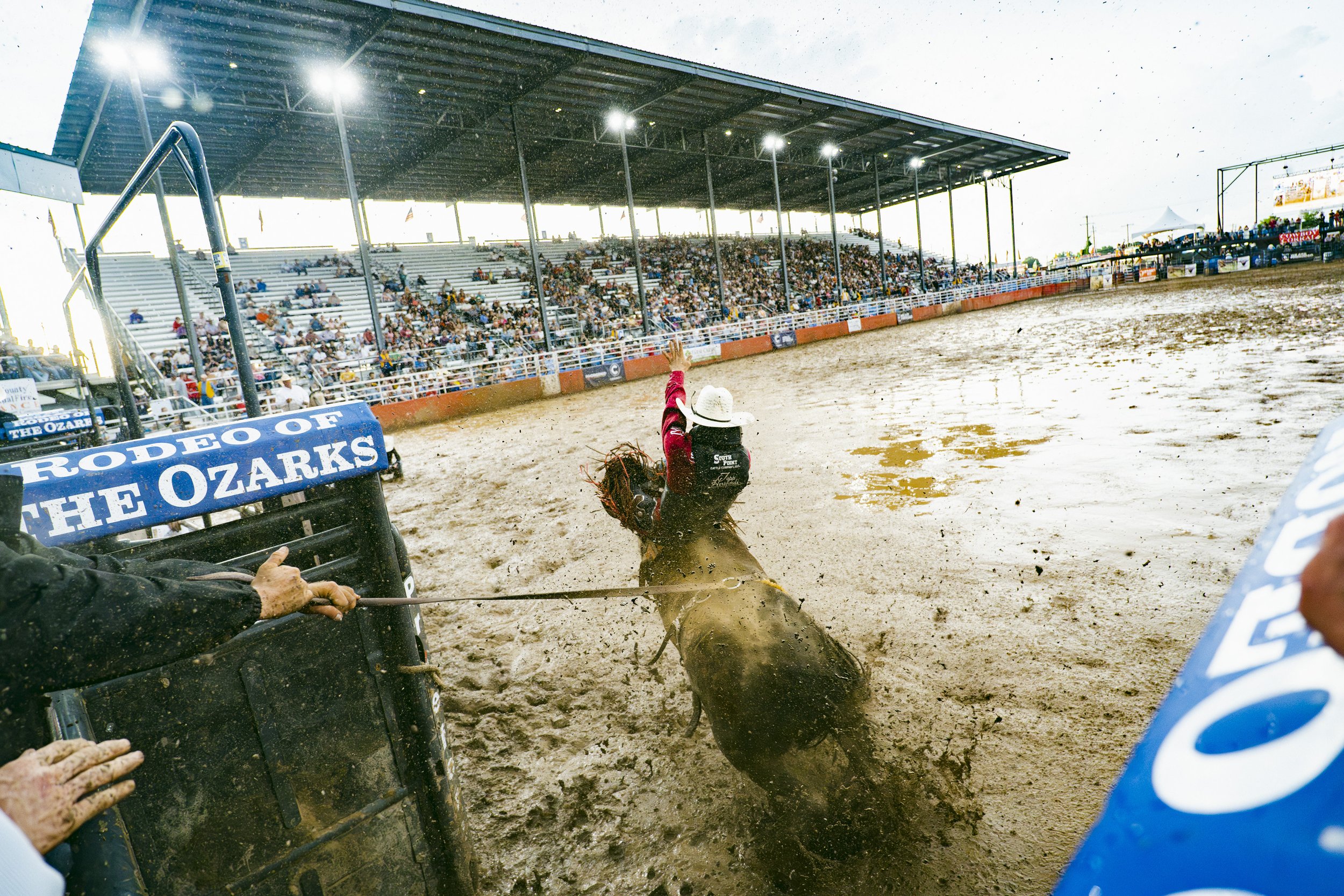 A muddy child looks on after completing her ride in the mutton bustin' event, Thursday, June 25, 2026 during the second night of the Rodeo of the Ozarks at Parsons Stadium in Springdale. The Rodeo of the Ozarks, now in its 82nd year, features heart p