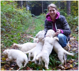 Ausbildungswege Animaltrainingcenter