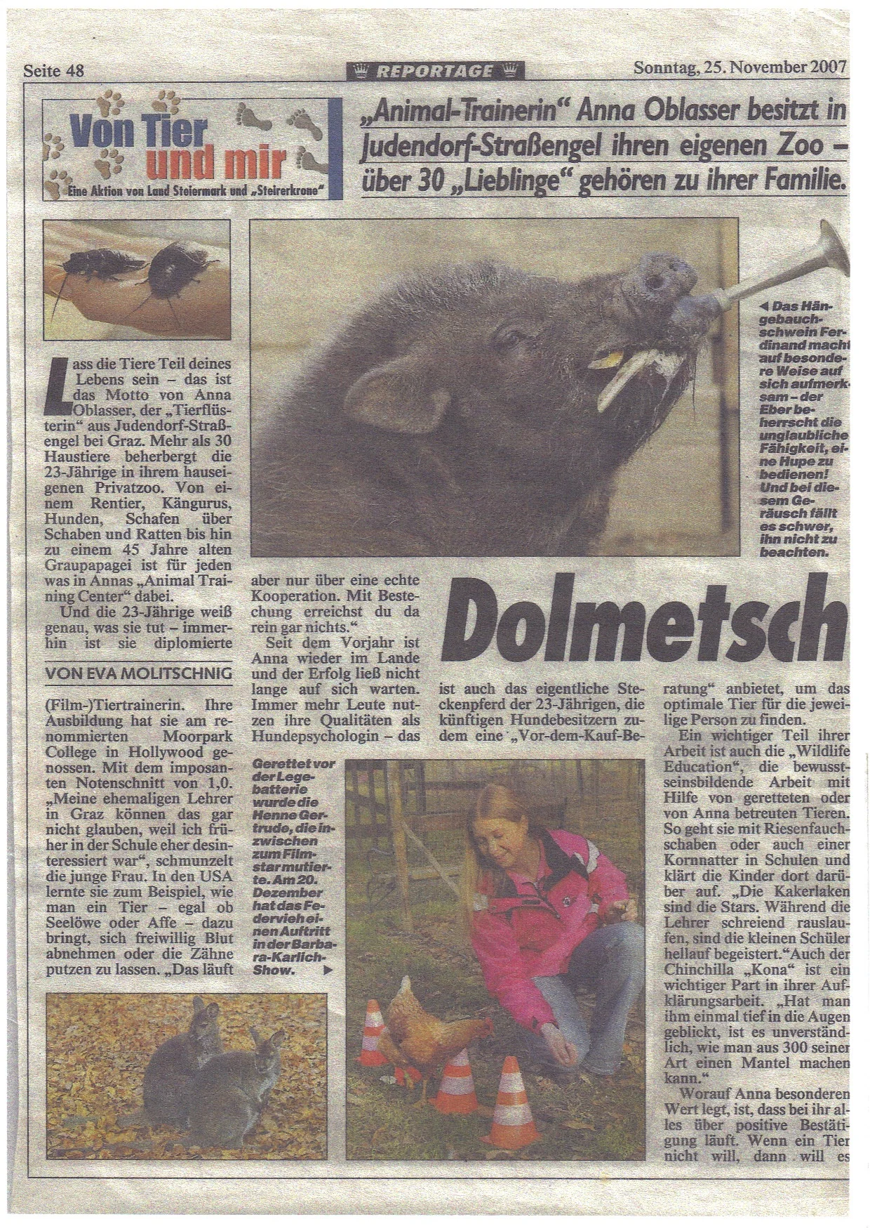 Krone Dolmetscherin1u2_1.jpg