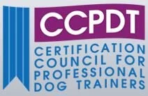 ccpdt.jpeg