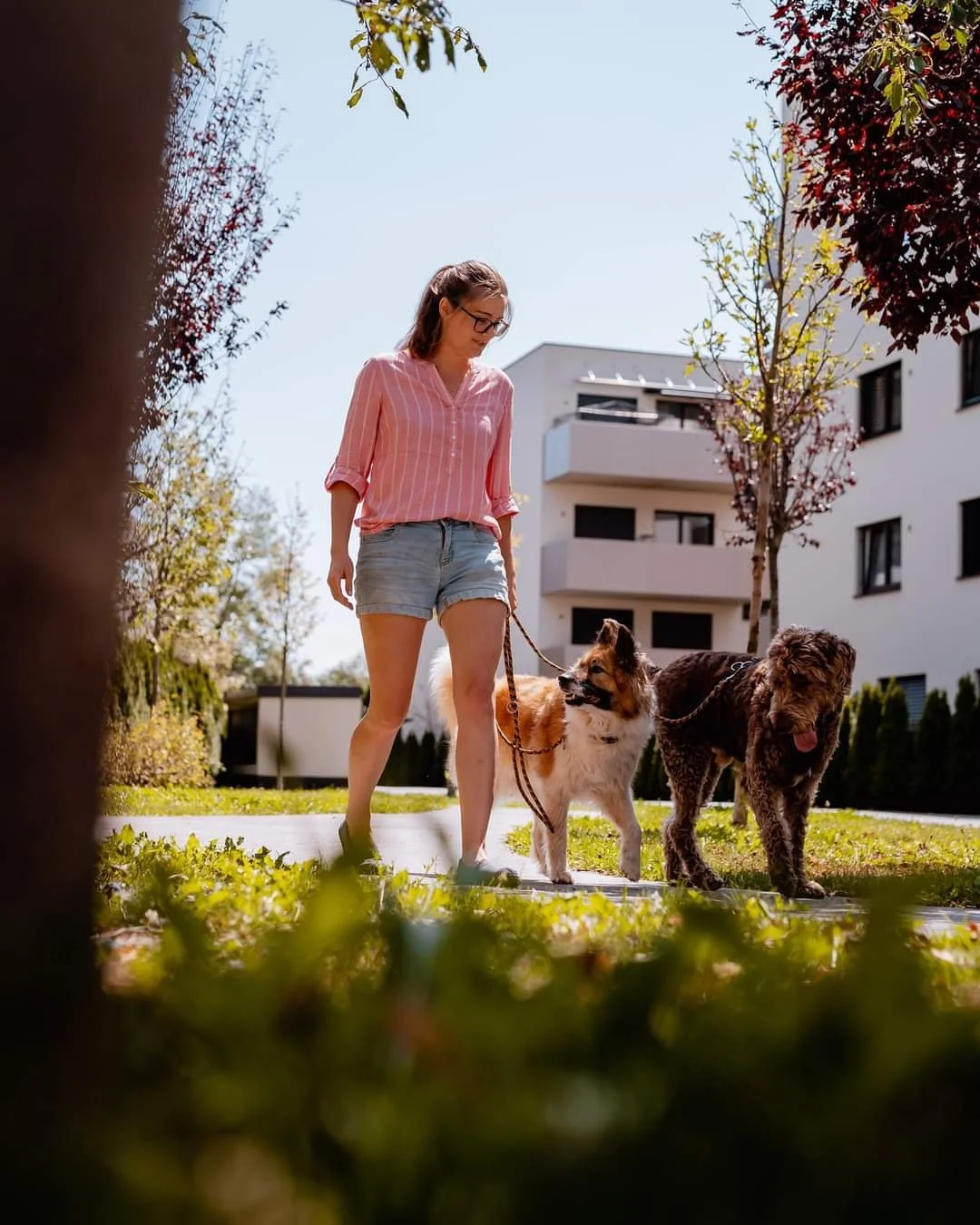 Aufmerksamkeit &amp; Ruhe 